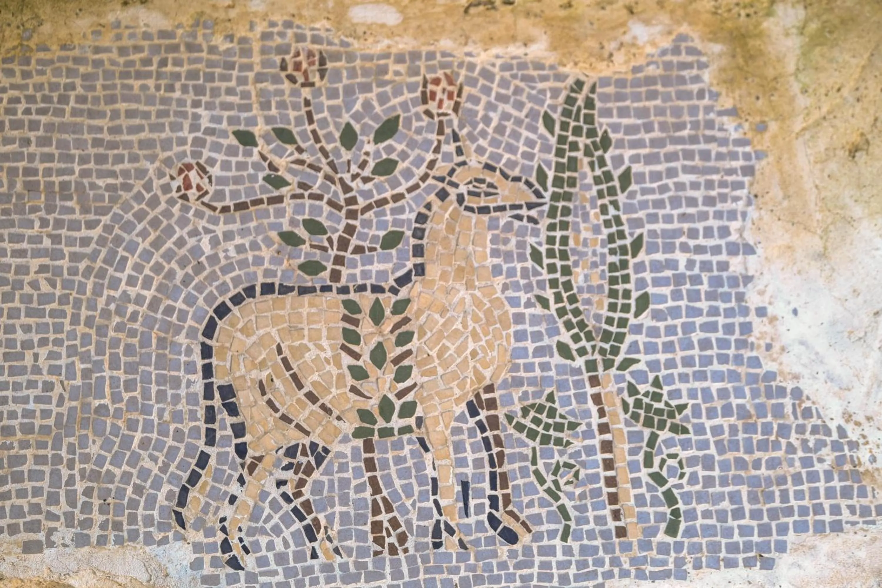 Property building in Kocadon Hotel