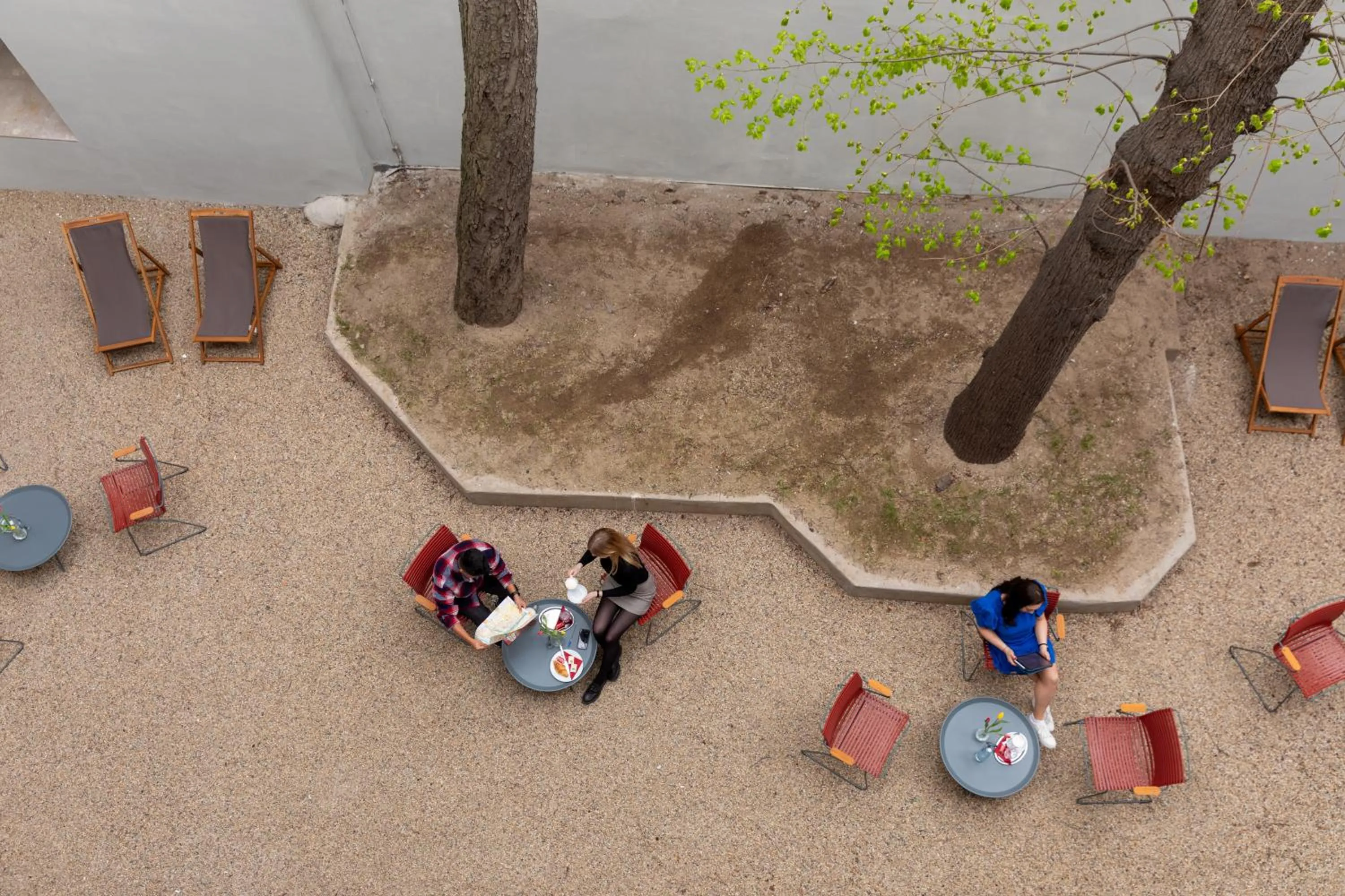 Garden in Sir Toby's Midtown
