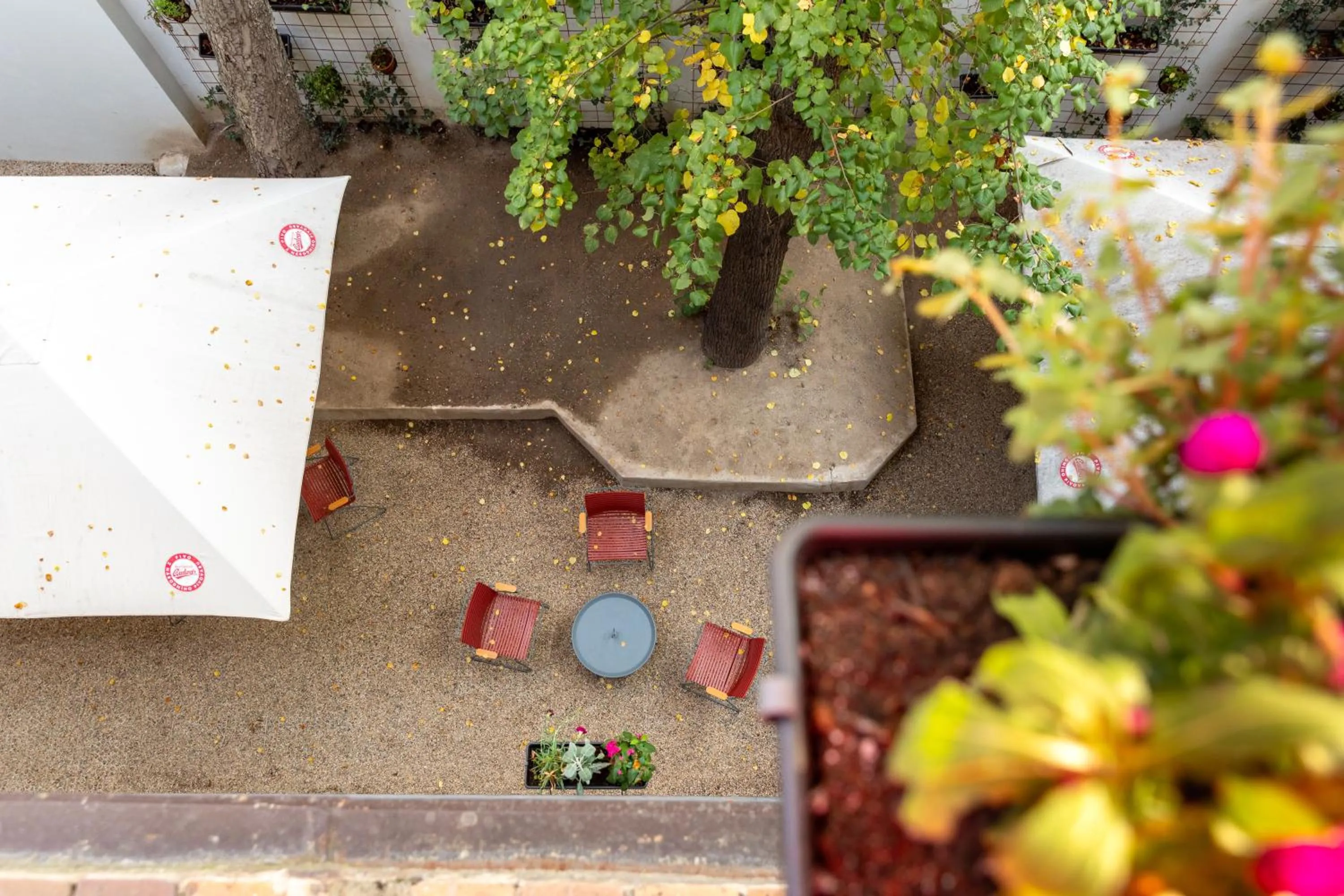Garden in Sir Toby's Midtown