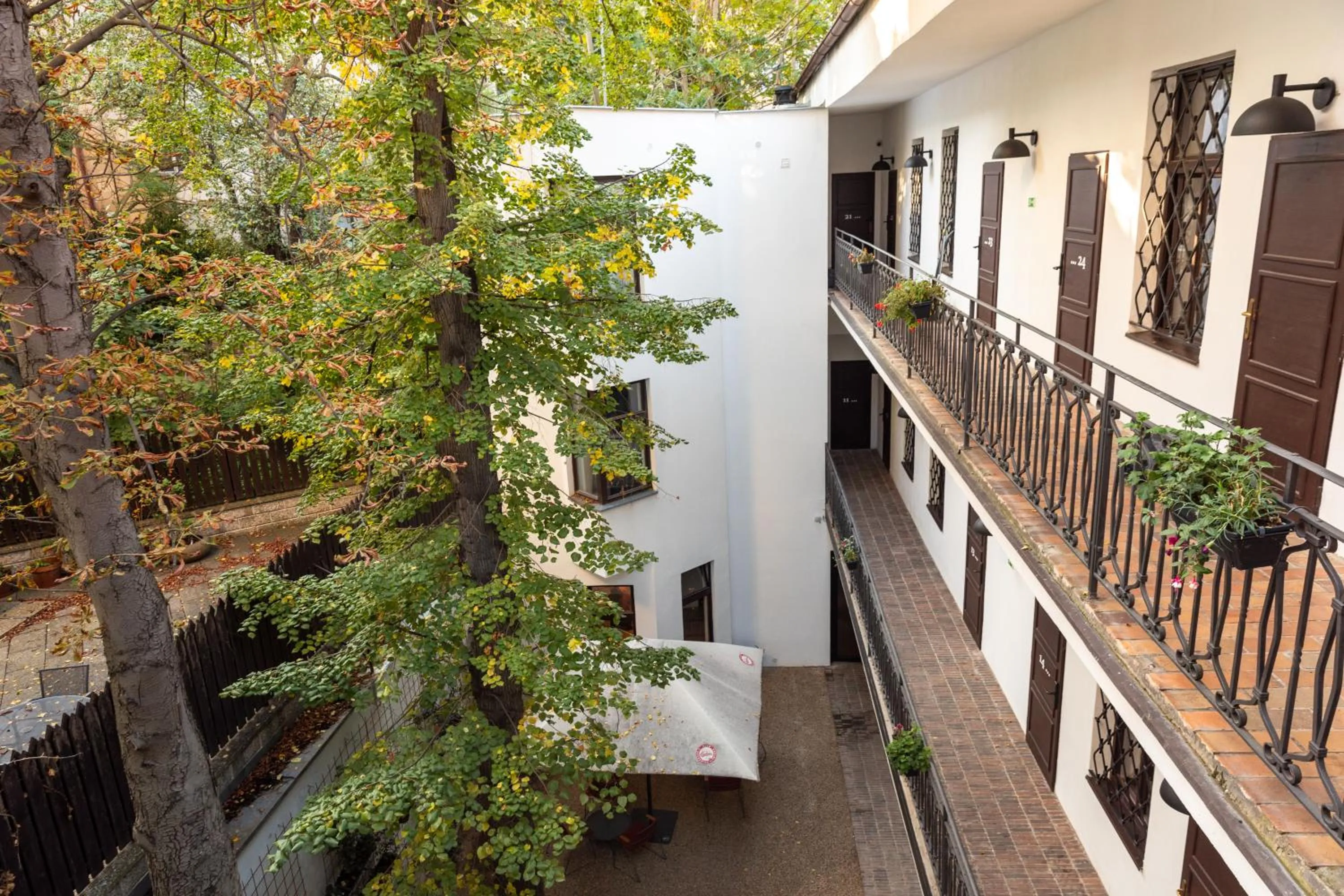 Garden in Sir Toby's Midtown