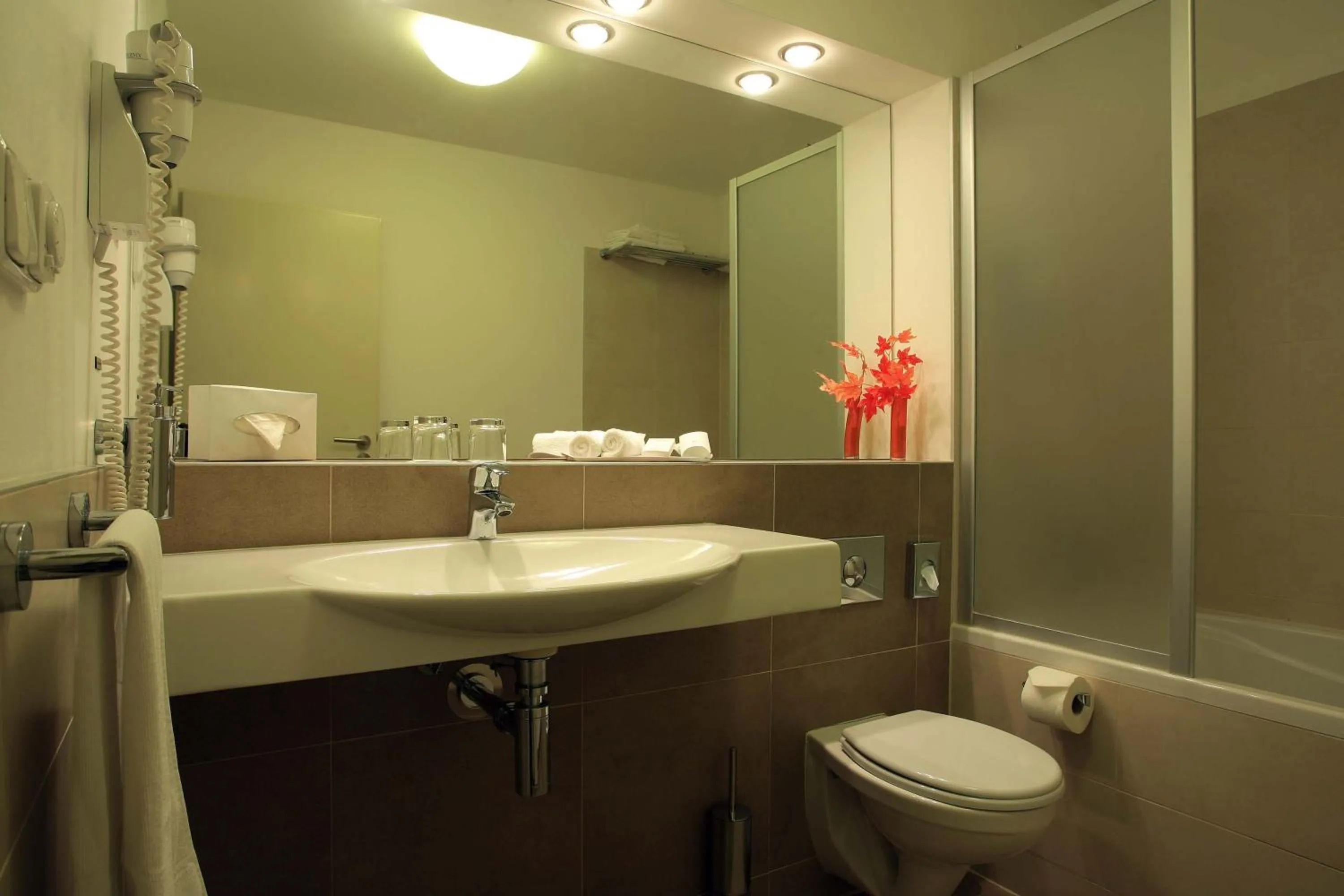 Toilet in Hotel Páv