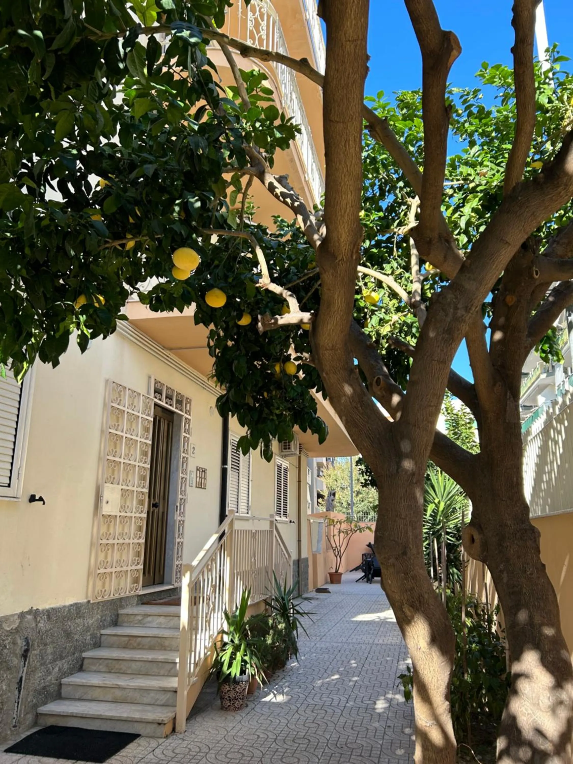 Property building in Confort Suites