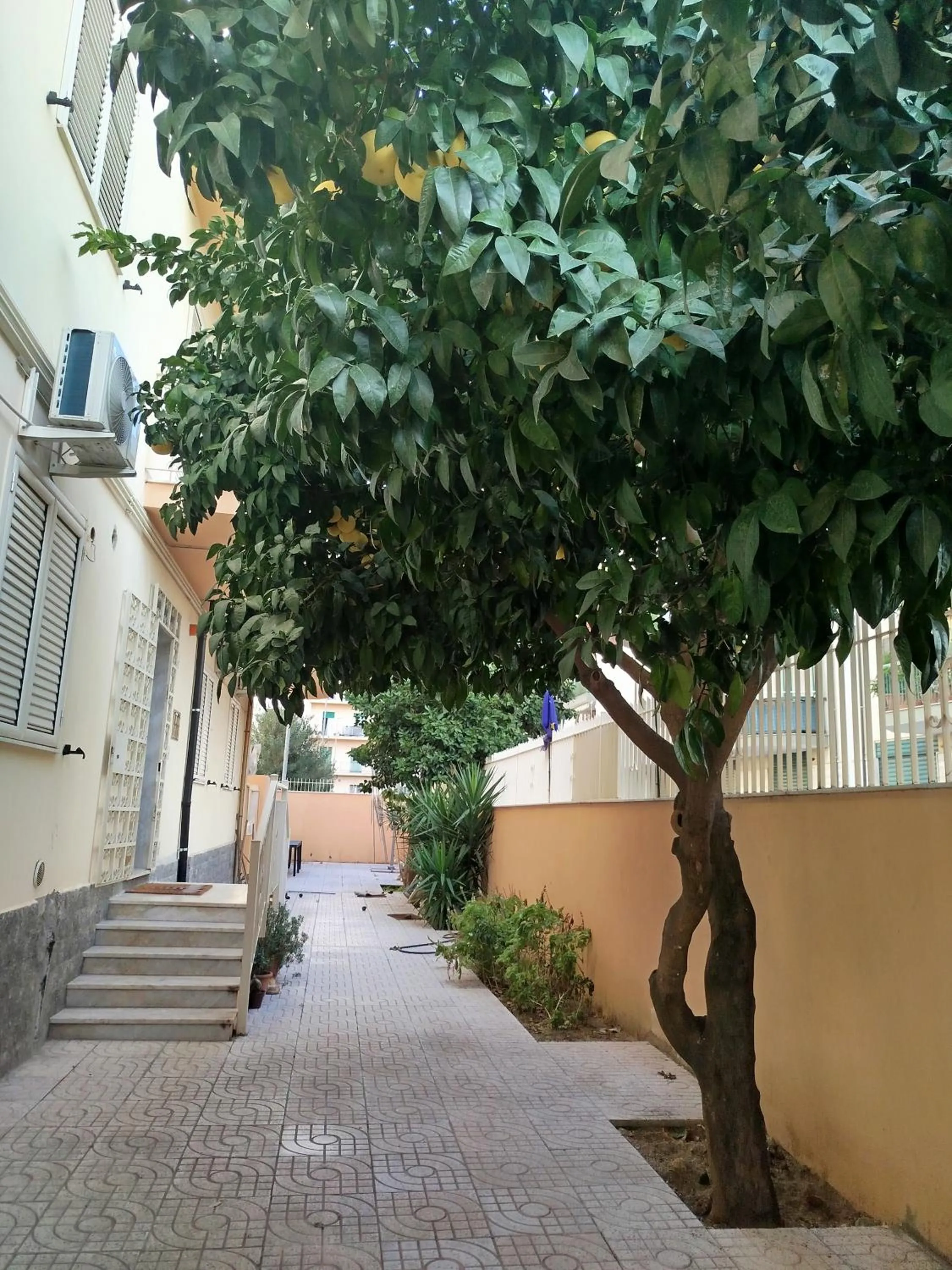 Garden in Confort Suites