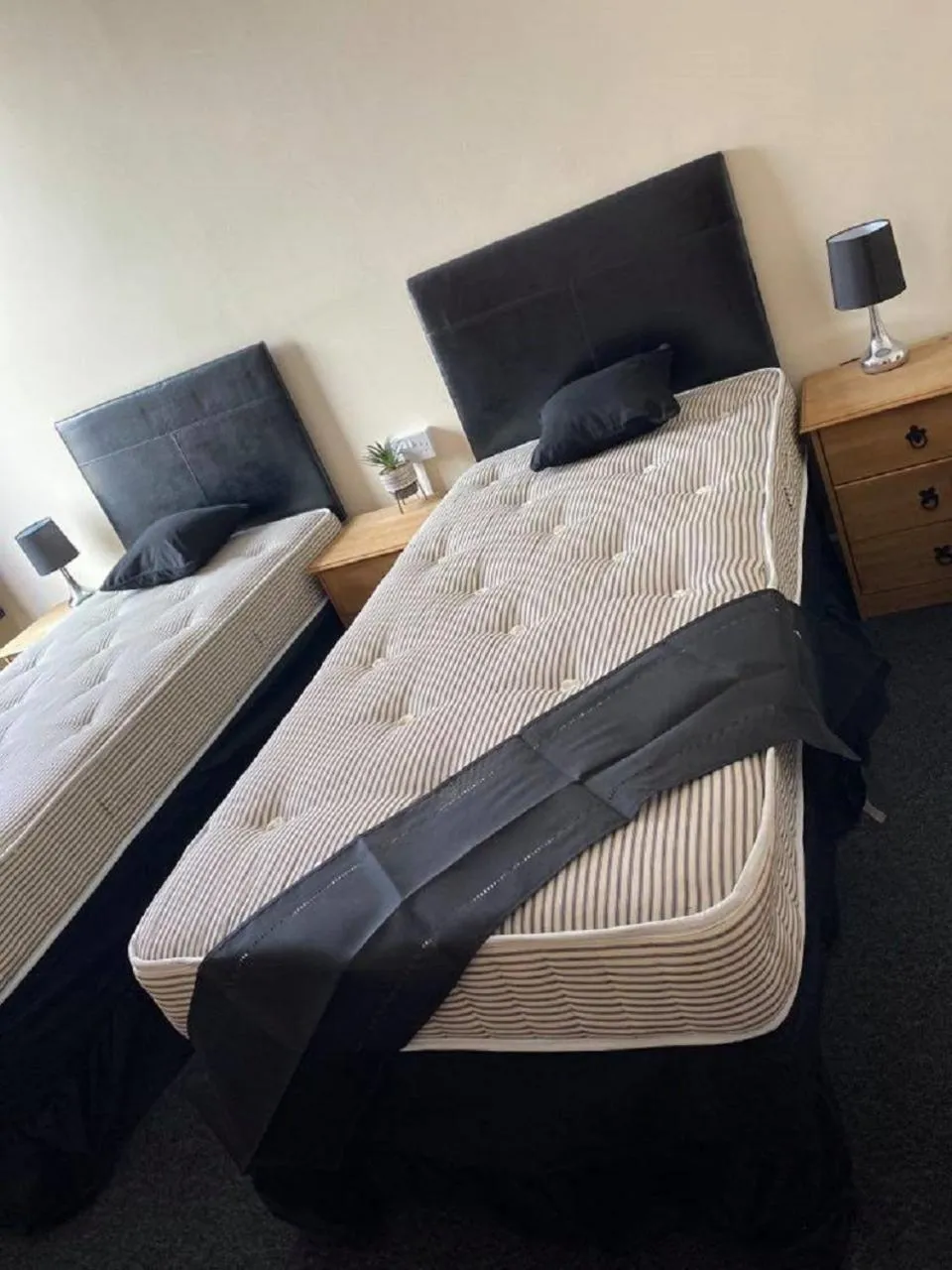 Photo of the whole room in Burlington Hotel