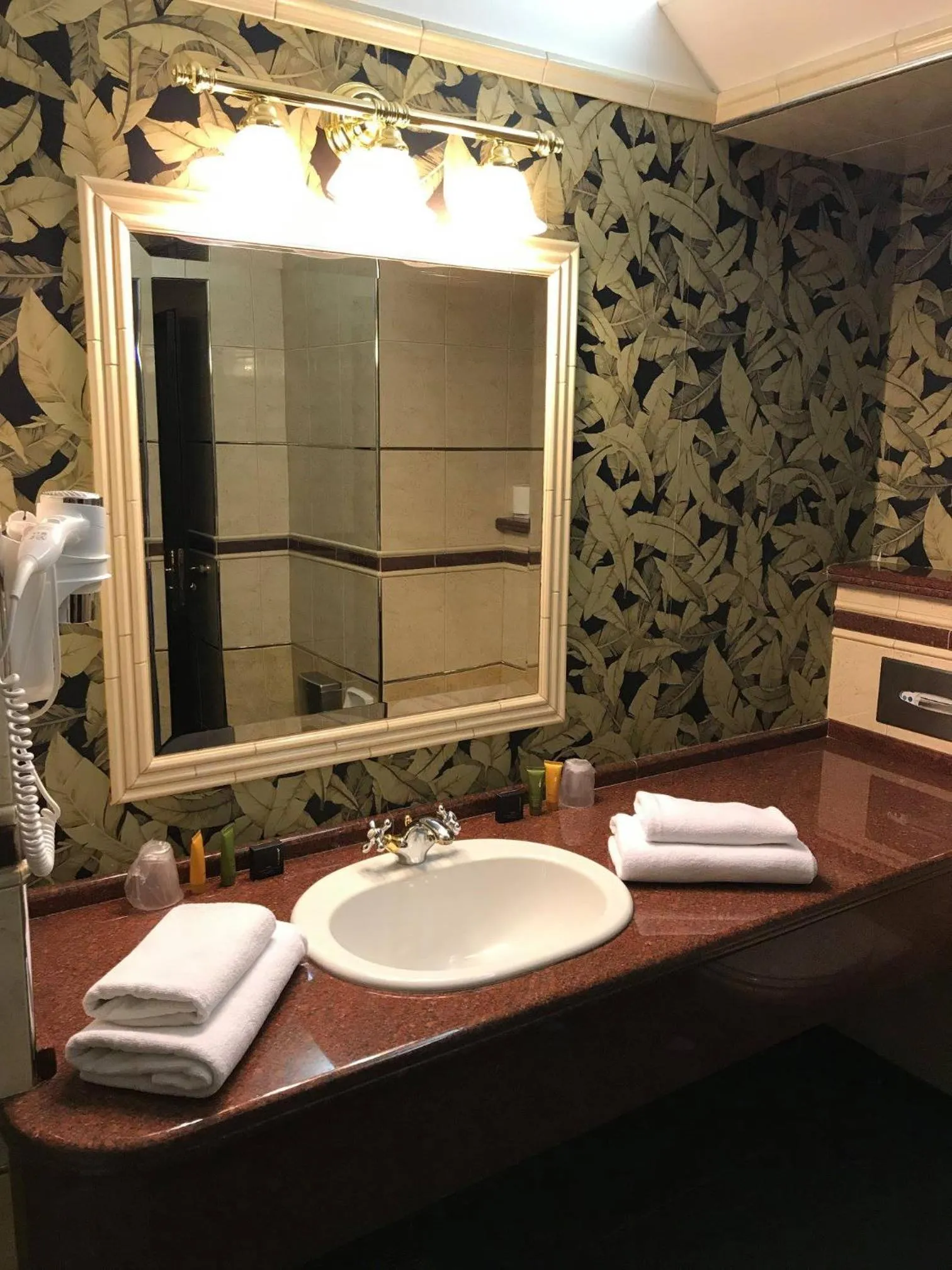 Bathroom in Hotel Continental