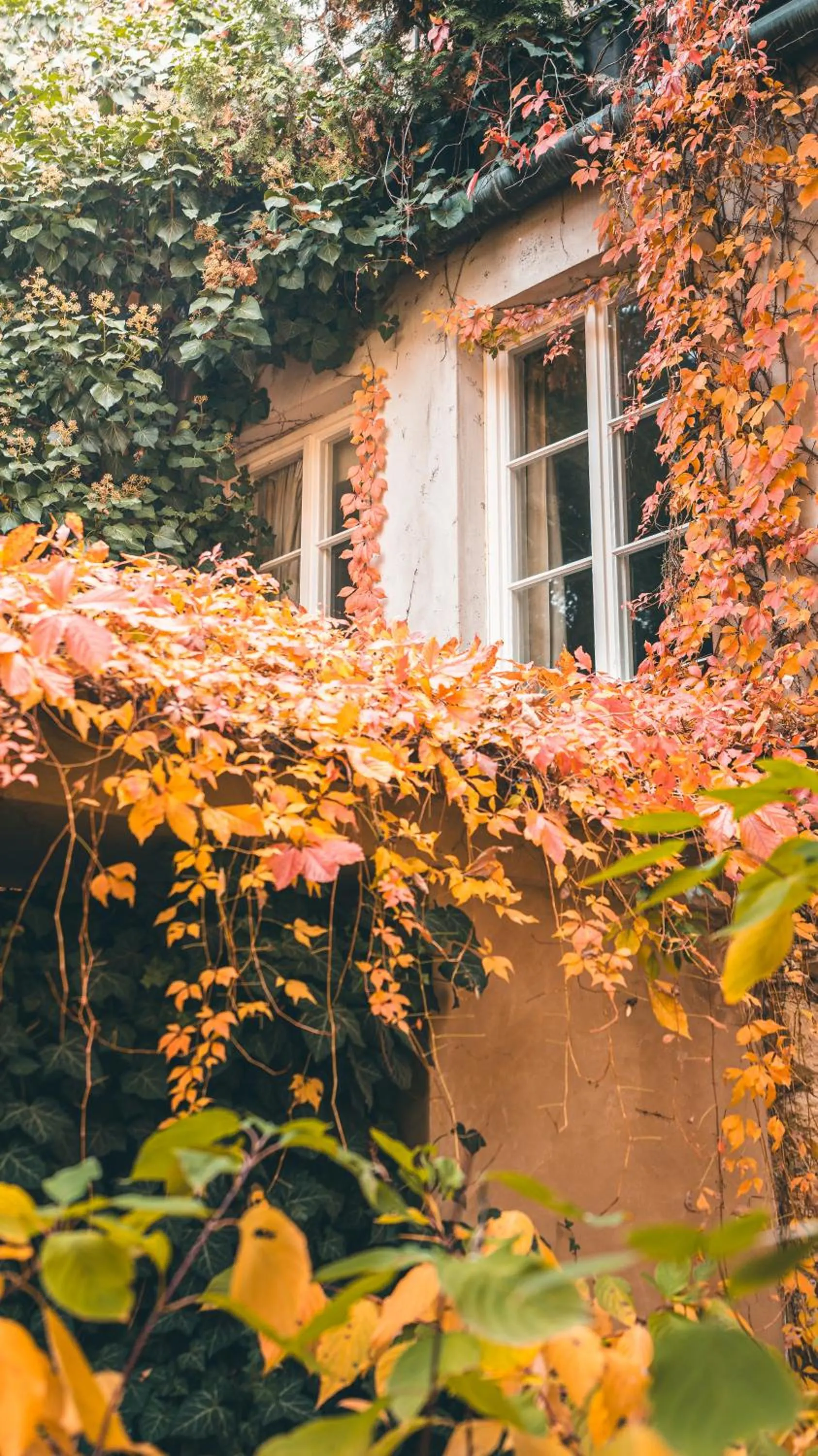 Garden in Appia Hotel Residences