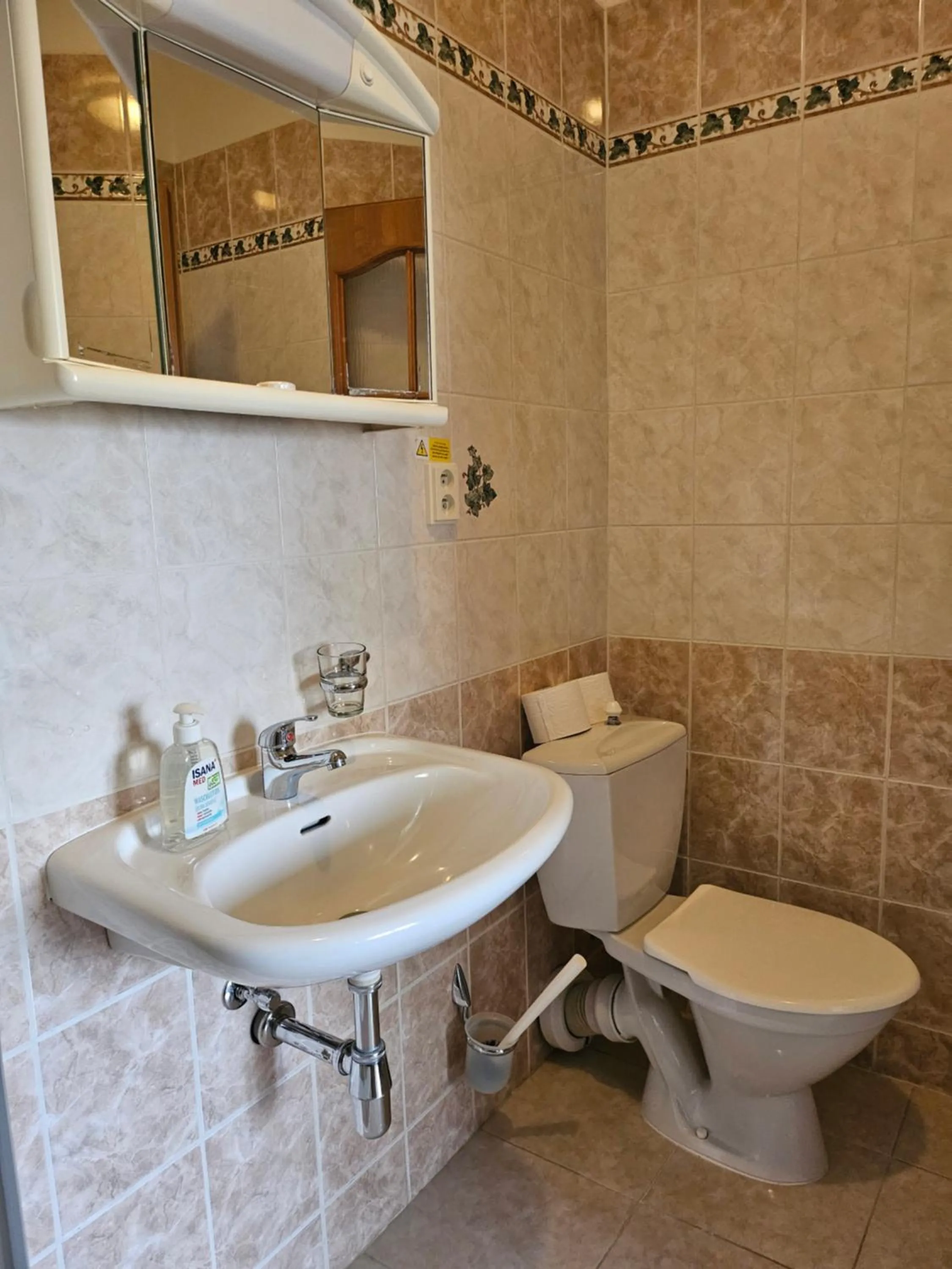 Bathroom in Brezina Pension