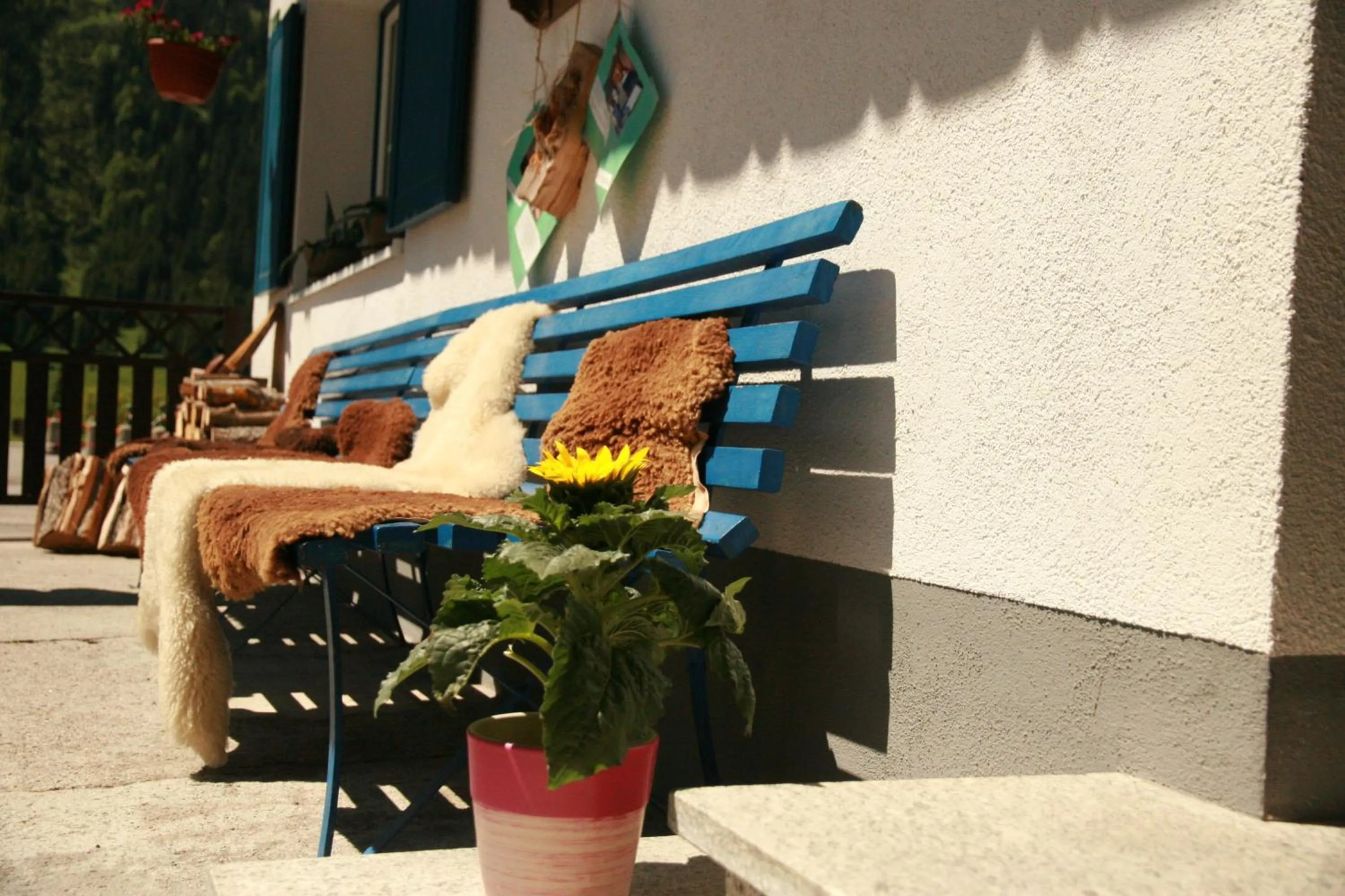 Decorative detail in Das Edelweiss