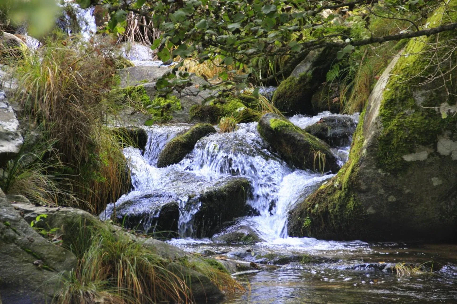 Natural landscape in Hervas Centro Apartamento IDEAL FAMILIAS 6 adultos y 2 niños-