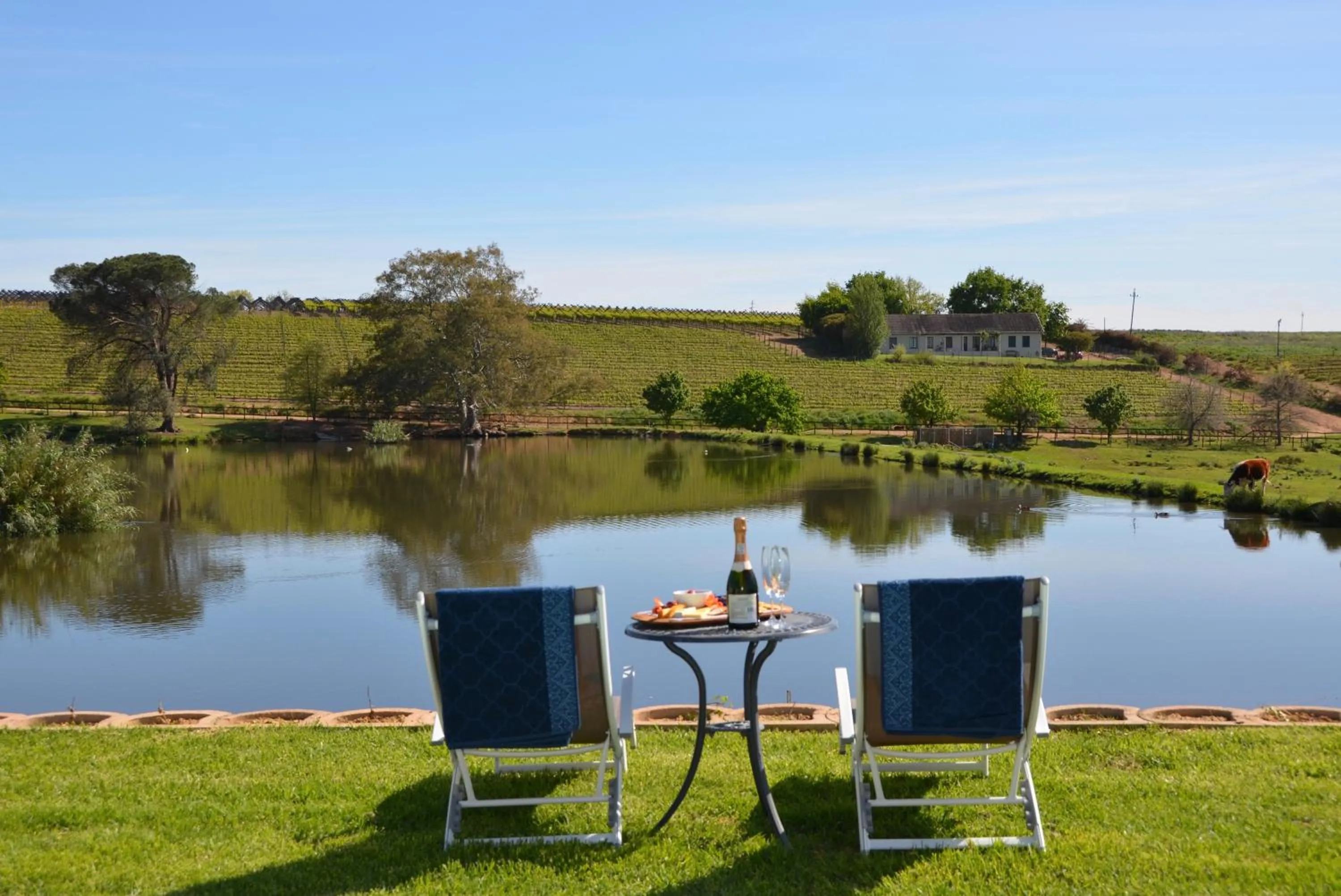 Swimming pool in Under Oaks Guesthouse