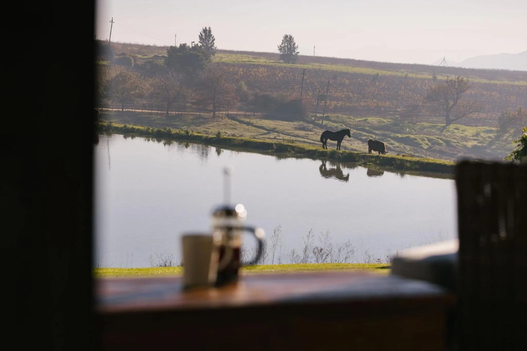 Lake view in Under Oaks Guesthouse