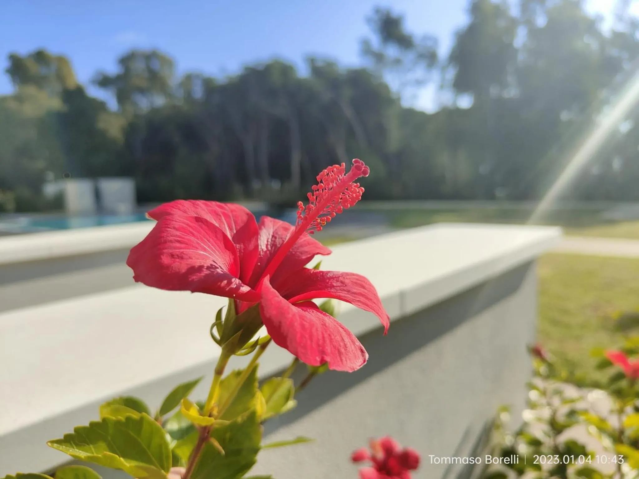 Garden in PARK HOTEL LE DUNE DI GIOVINO