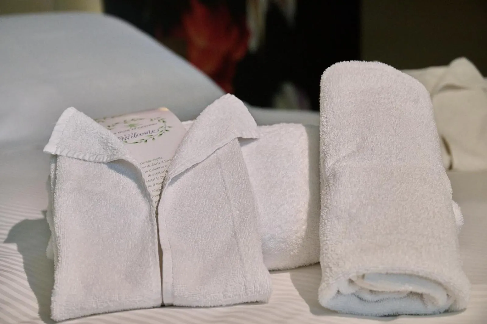 Bed in PARK HOTEL LE DUNE DI GIOVINO