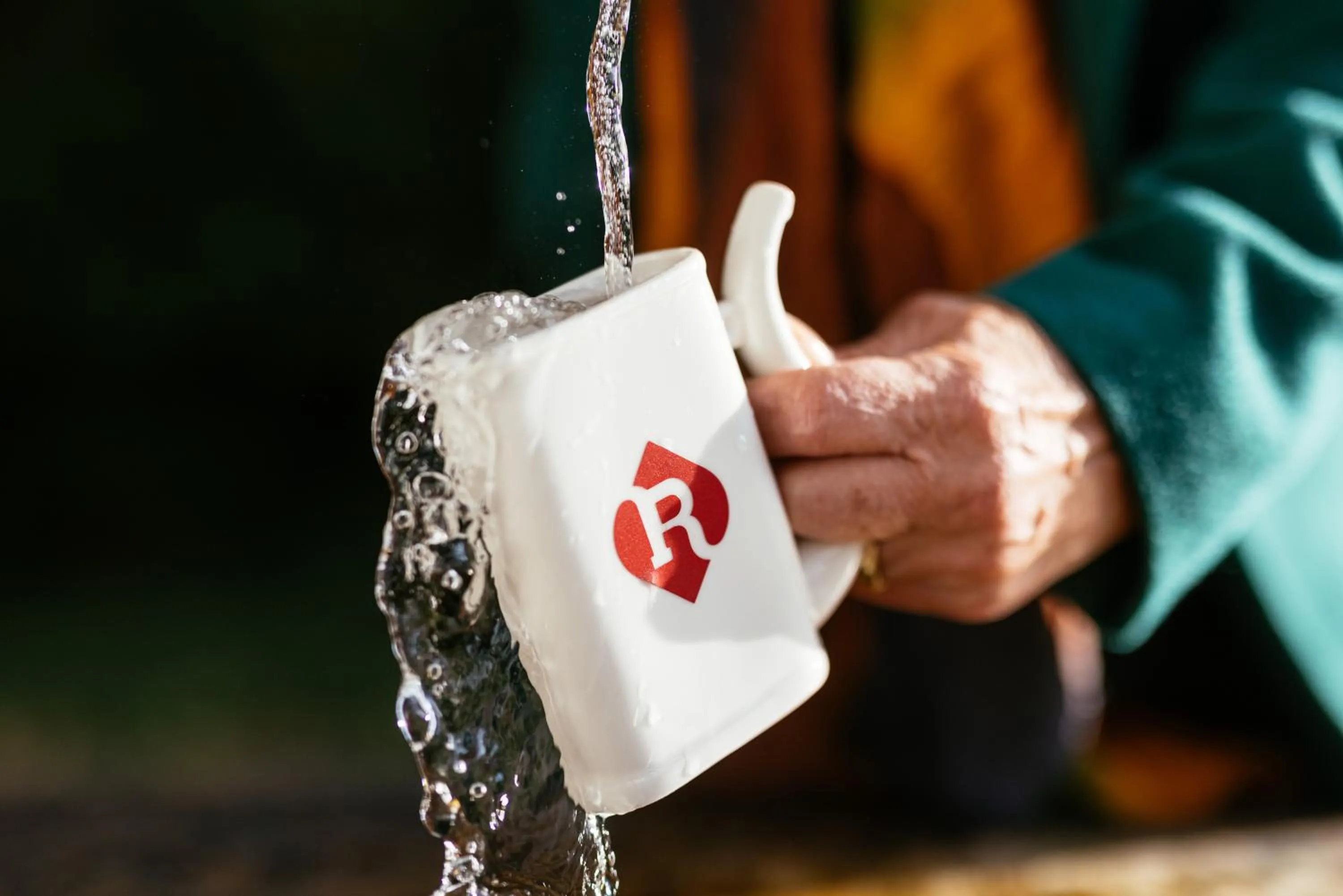 Logo/Certificate/Sign in Reitenberger Spa Medical