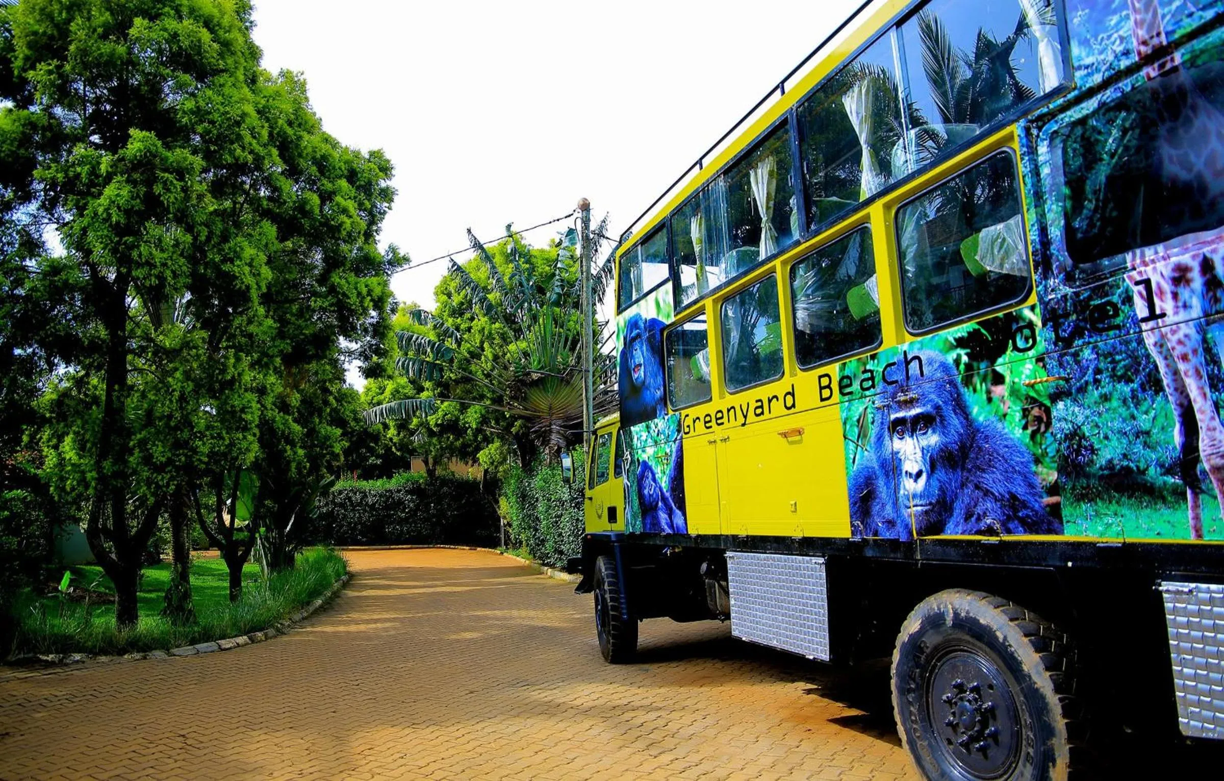 Activities in Greenyard Beach Hotel