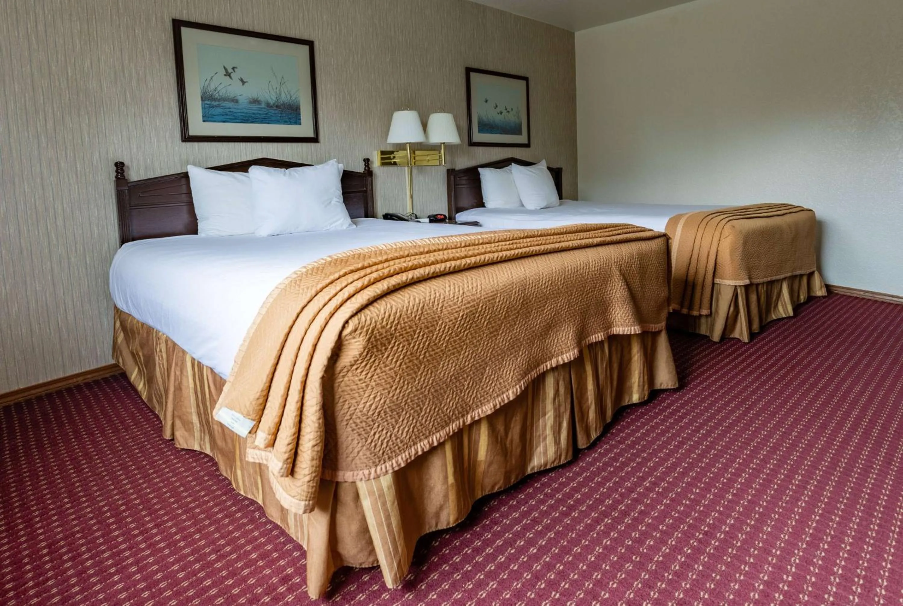 Photo of the whole room, Bed in Travelodge by Wyndham Juneau