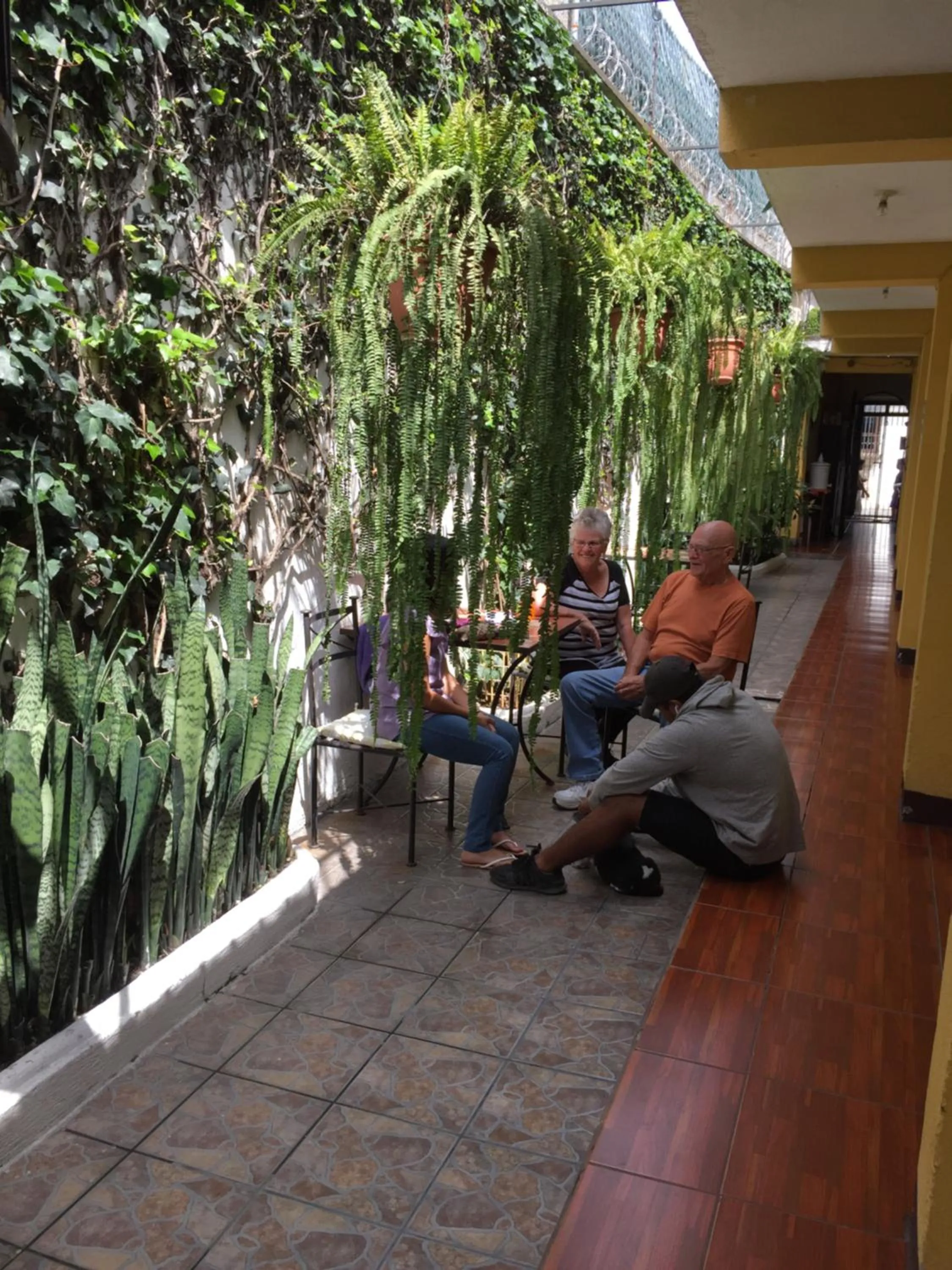 Patio in Hostal Antigua