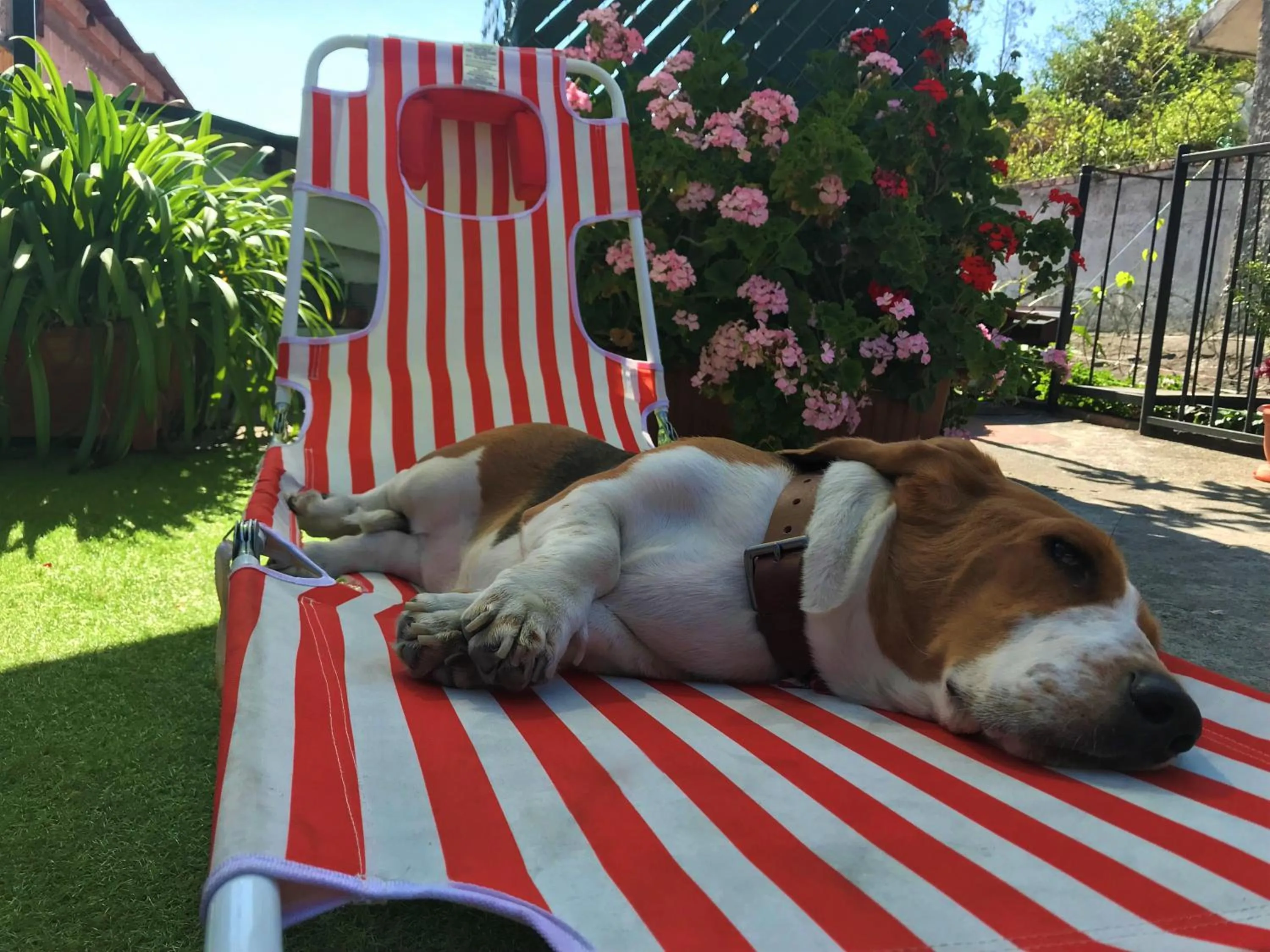 View (from property/room) in Hostal Antigua