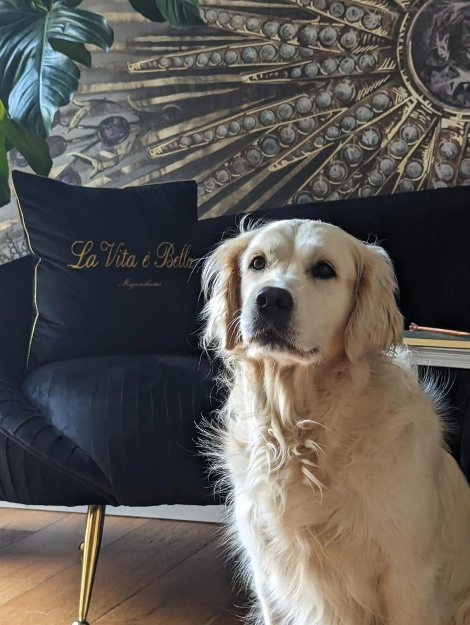 squero 911 appartament