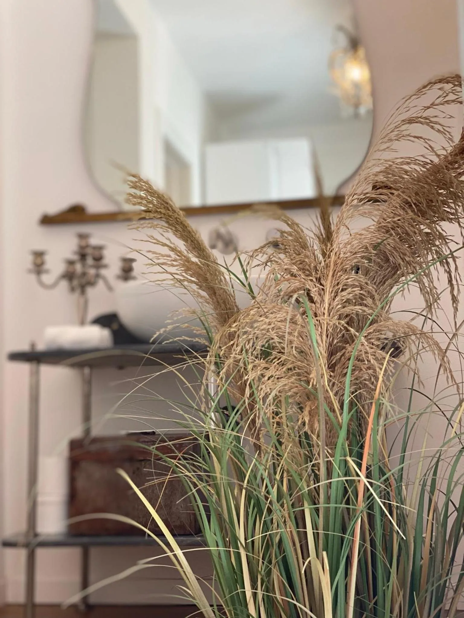 squero 911 appartament