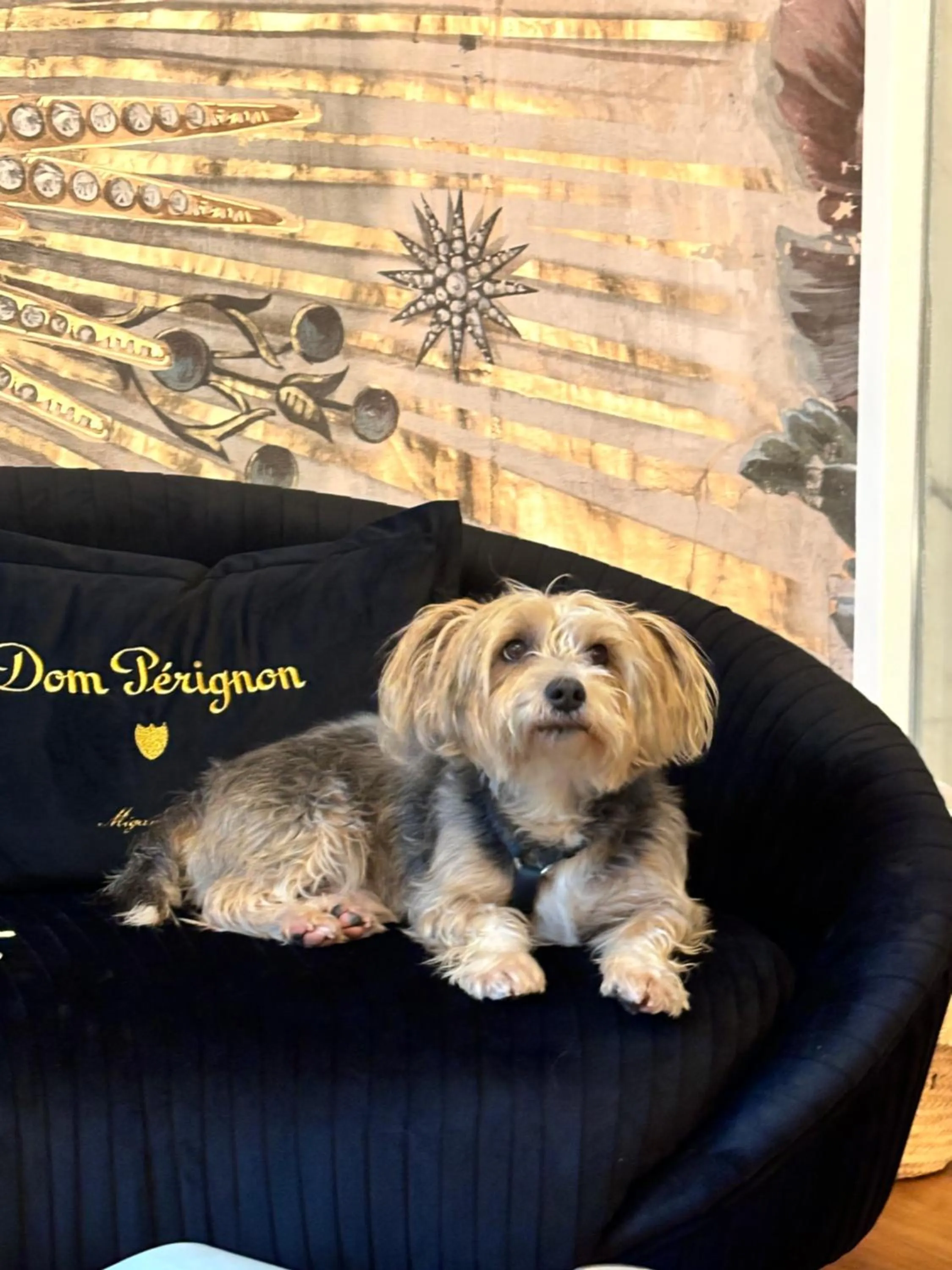 squero 911 appartament