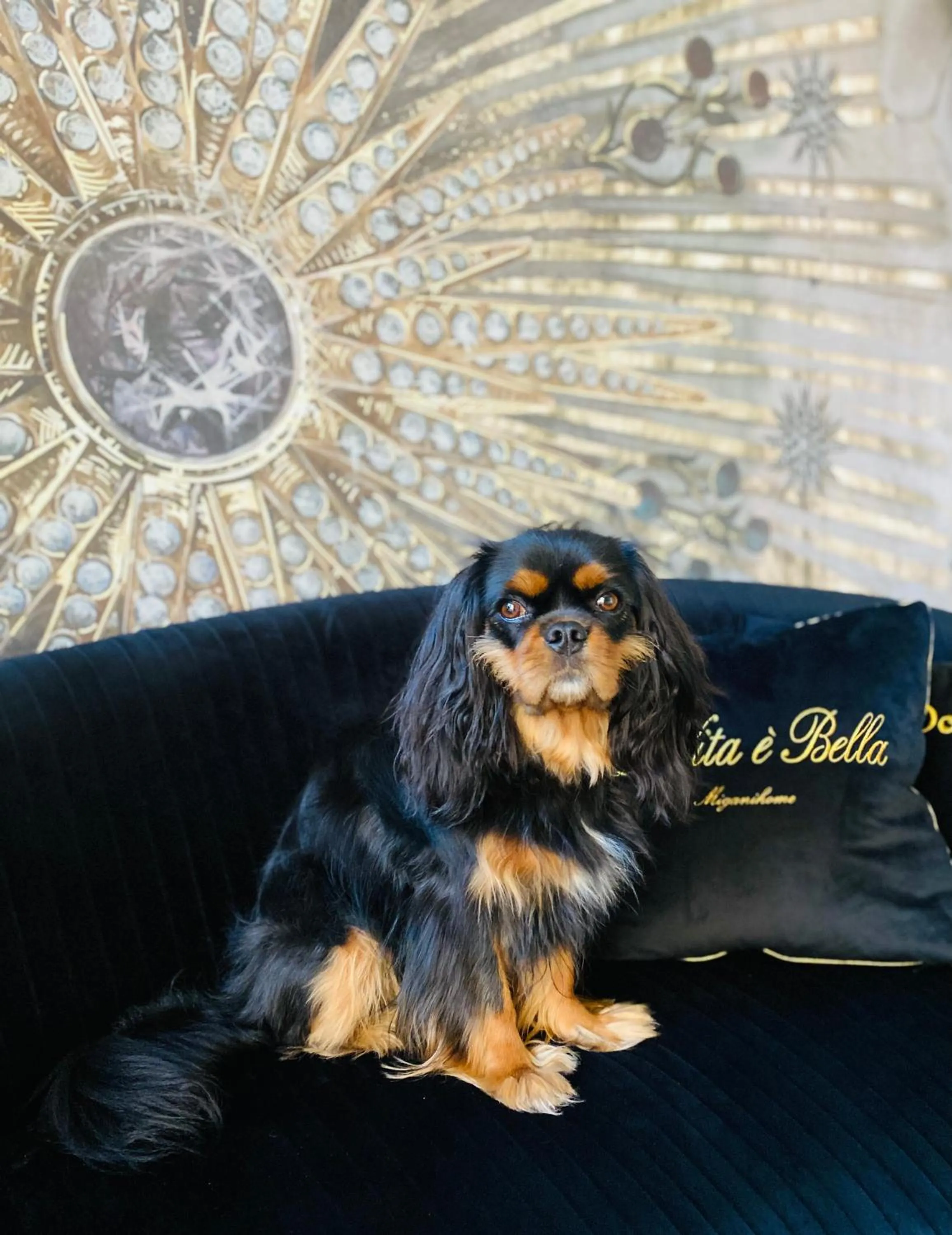 squero 911 appartament