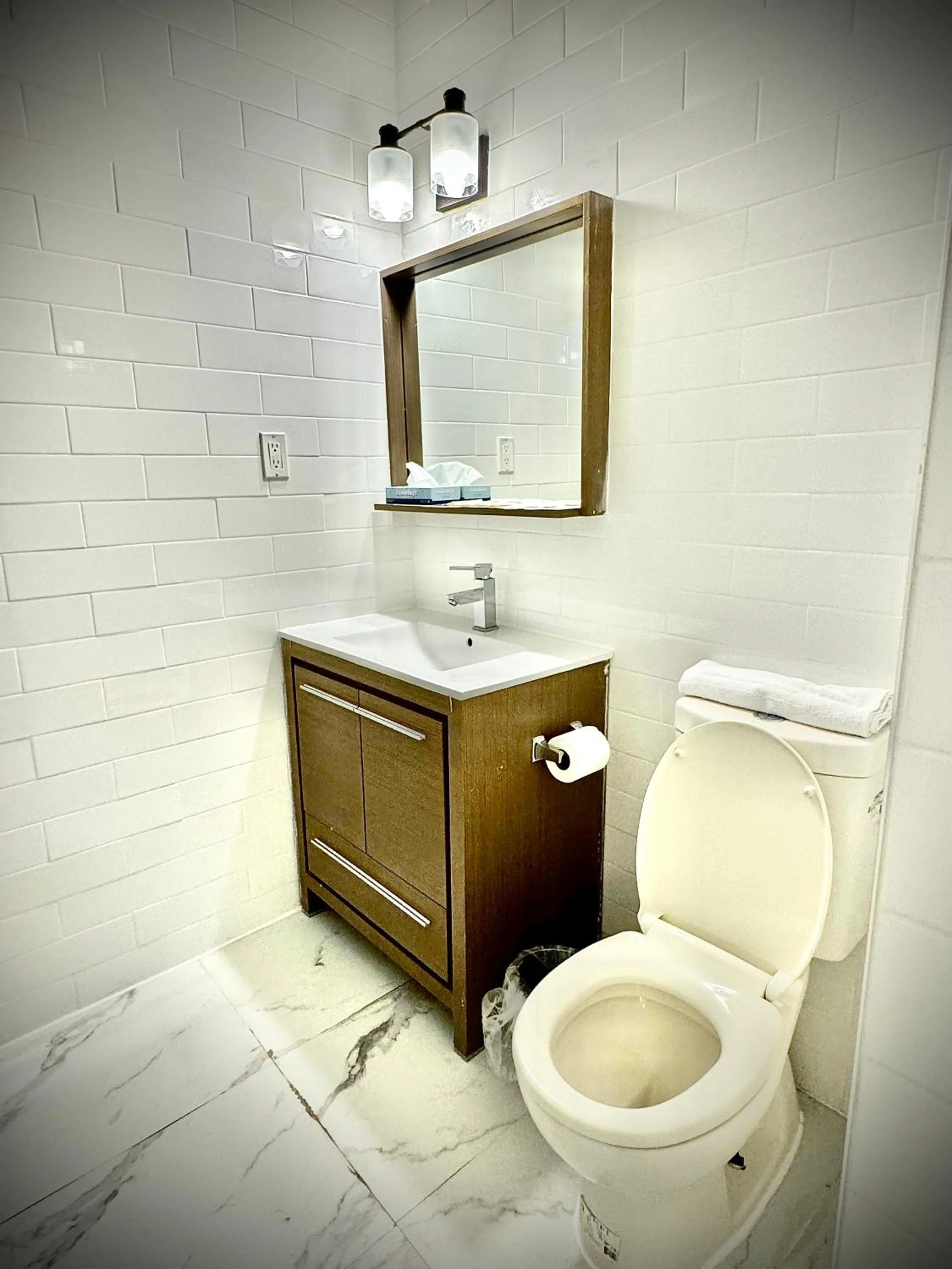 Toilet in Royal Oak Inn