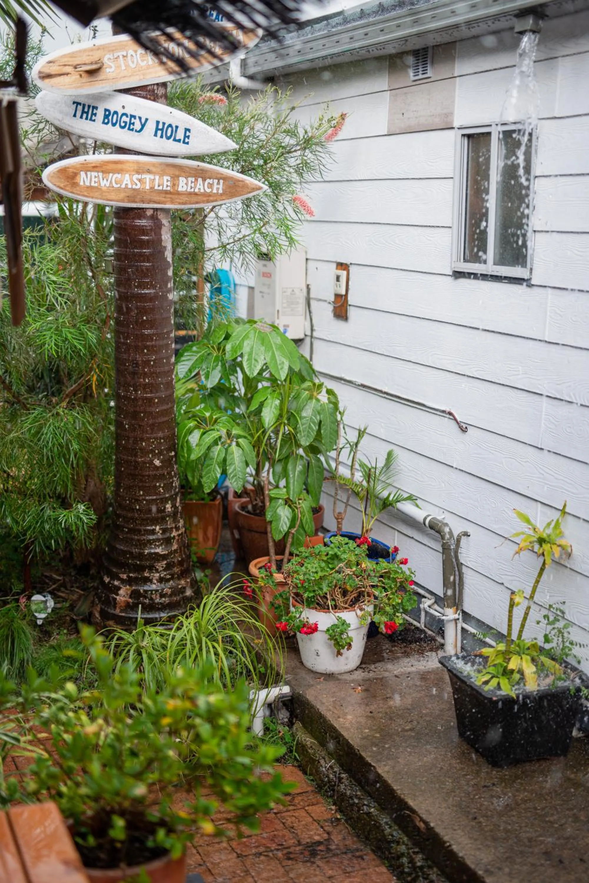 Natural landscape in Backpackers Newcastle