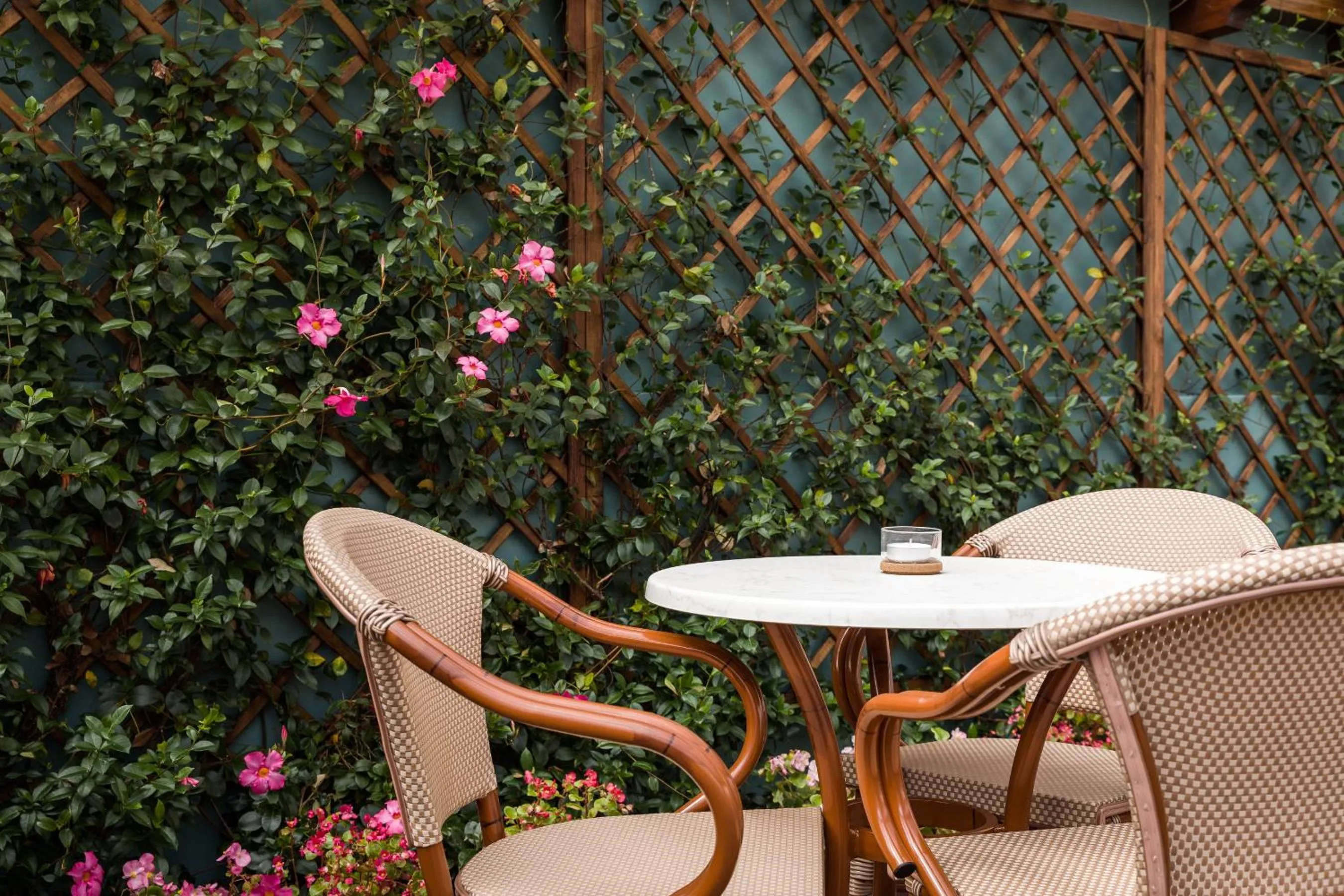 Garden in Legends House by Sweet Porto