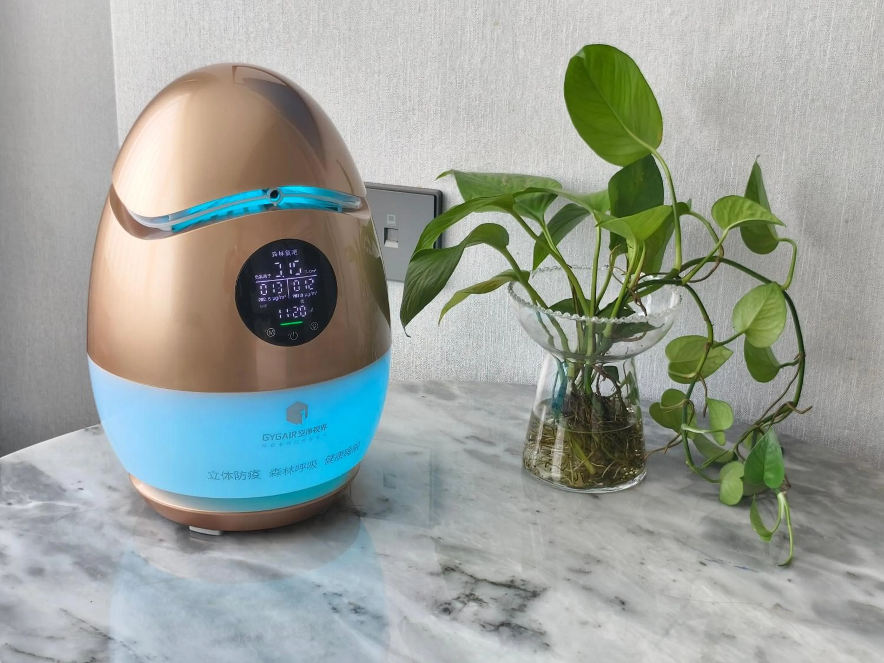 Shu Guang International Hotel