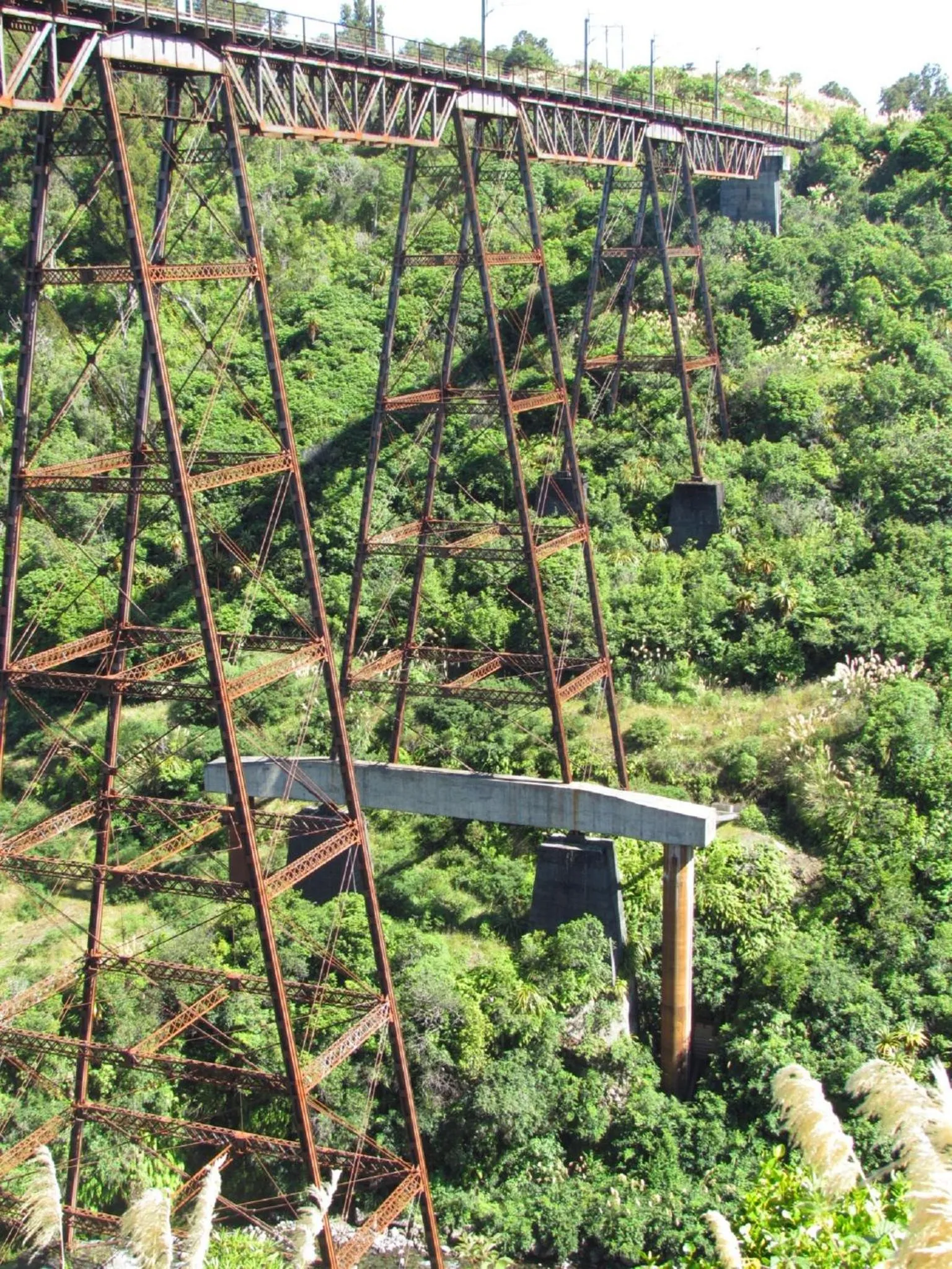 Area and facilities in Tongariro Suites