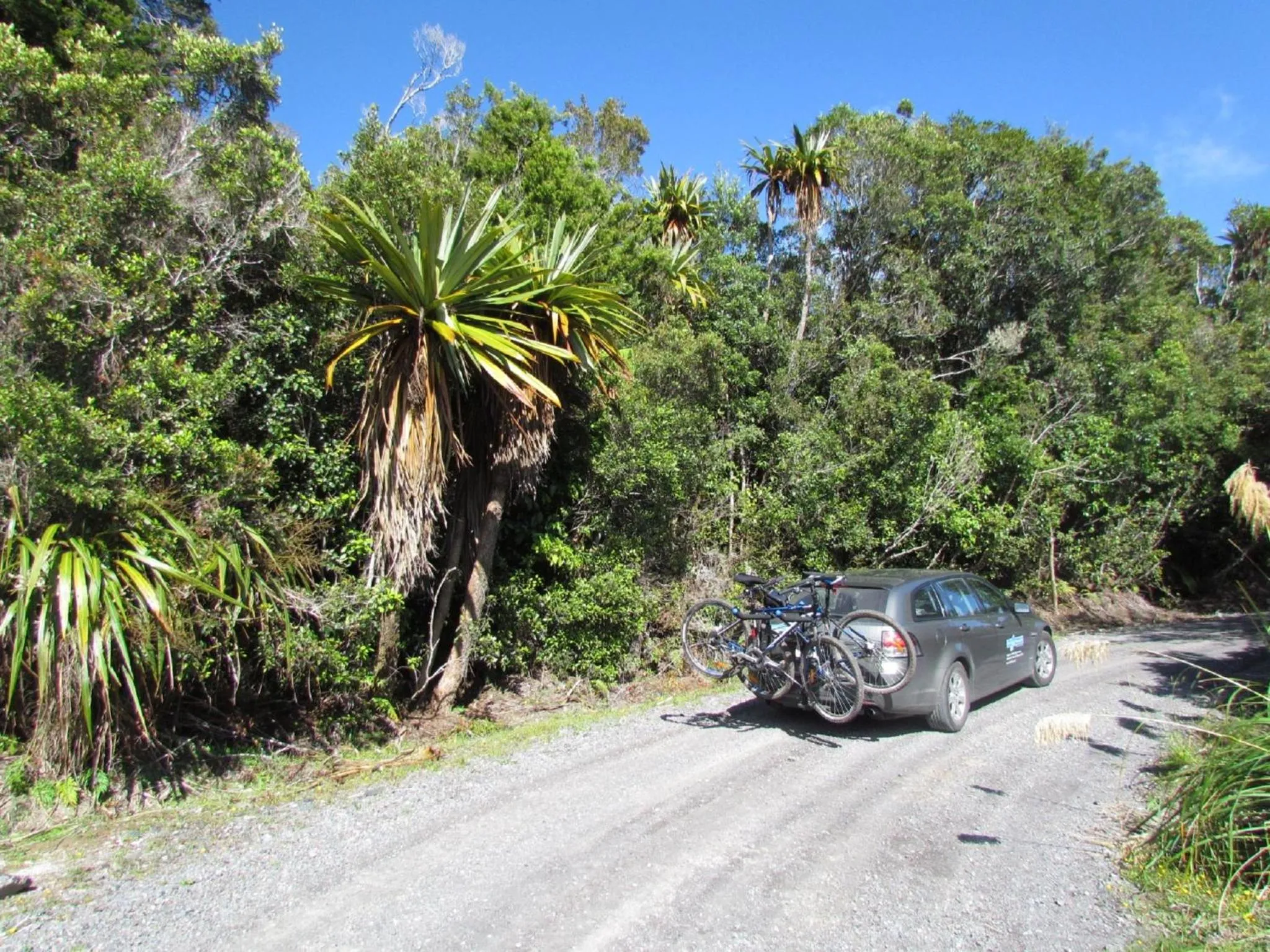 Hiking in Tongariro Suites