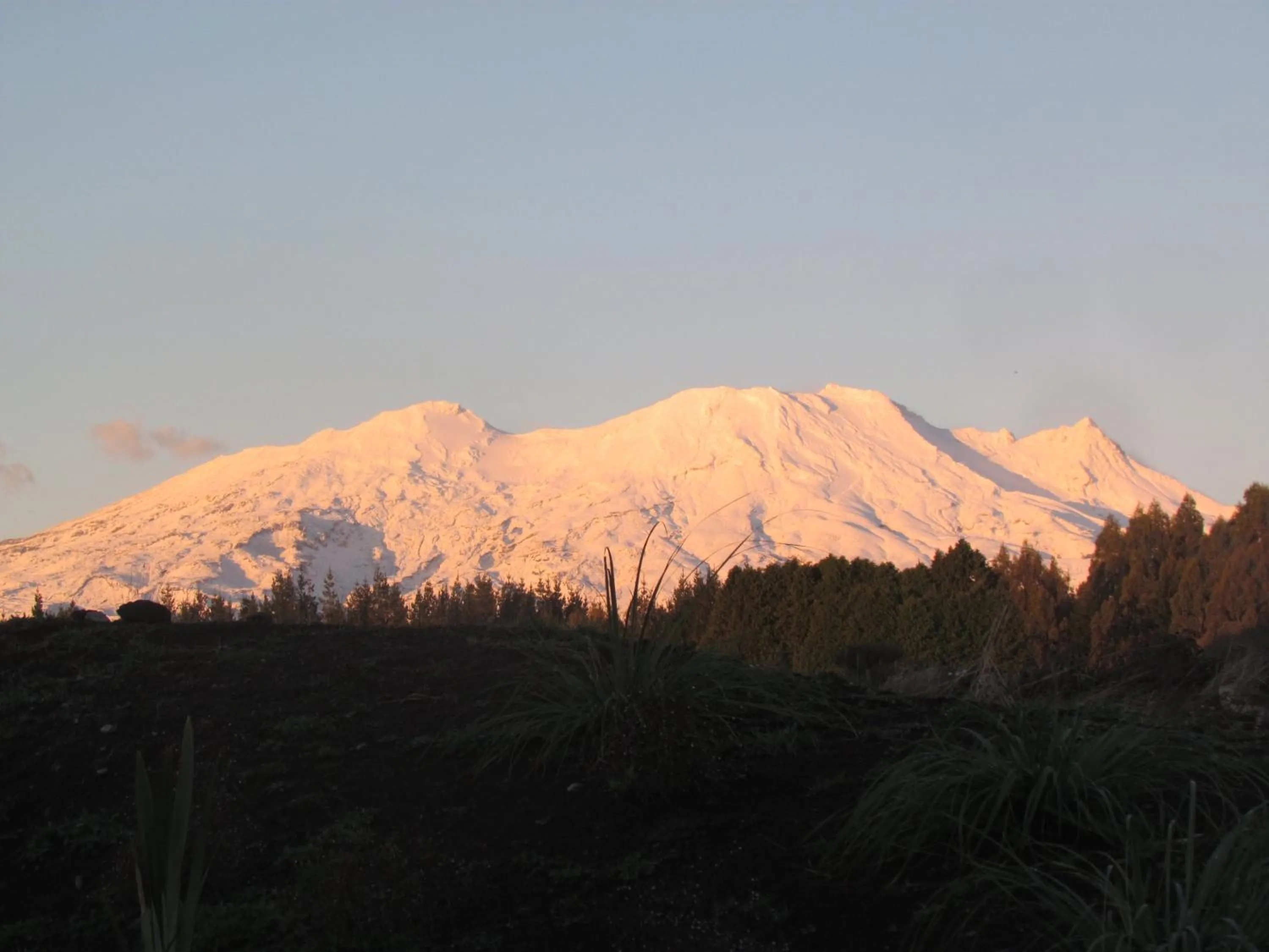 Mountain view in Tongariro Suites