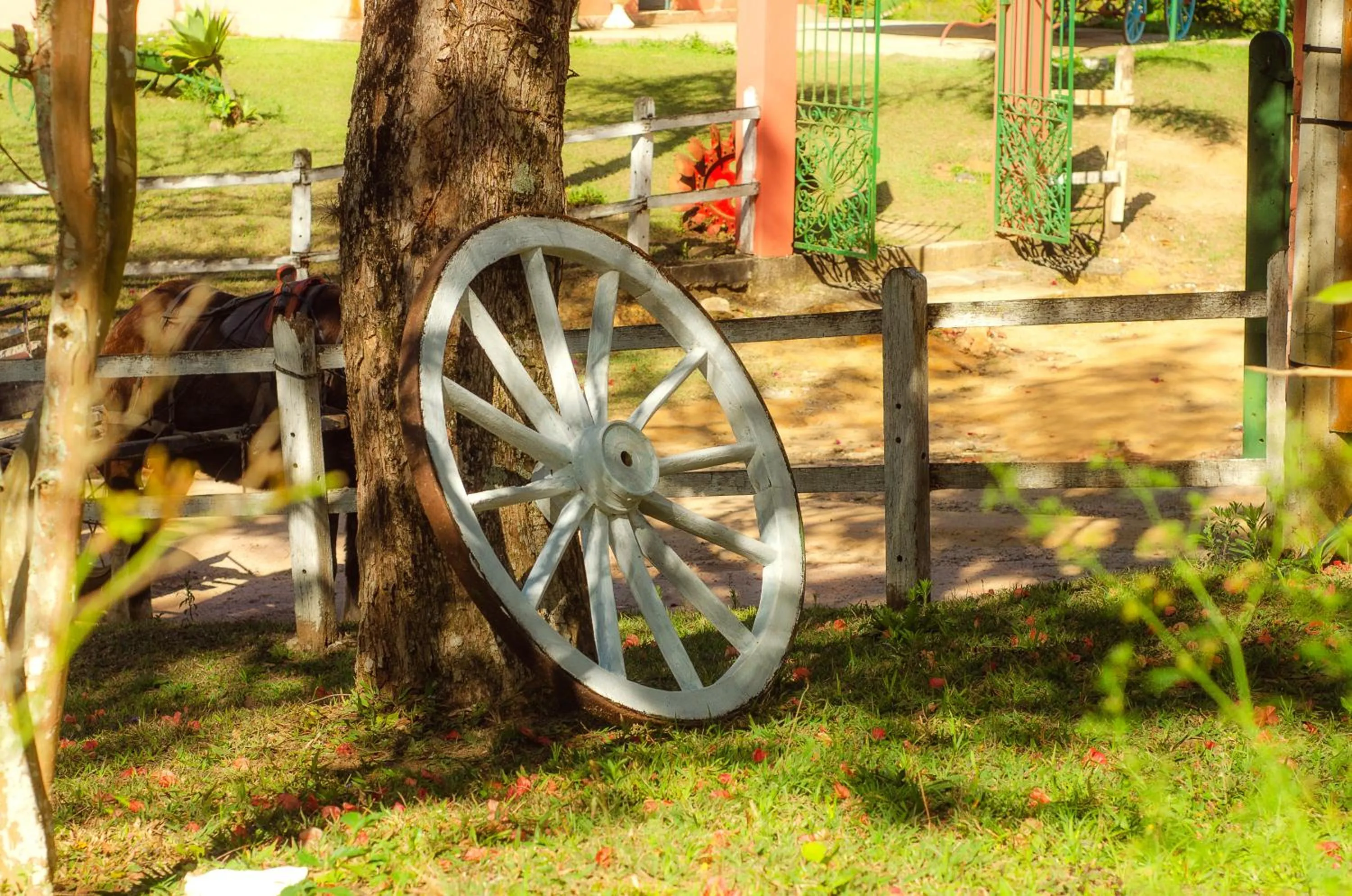 Decorative detail in ECO RESORT FASCINAÇÃO