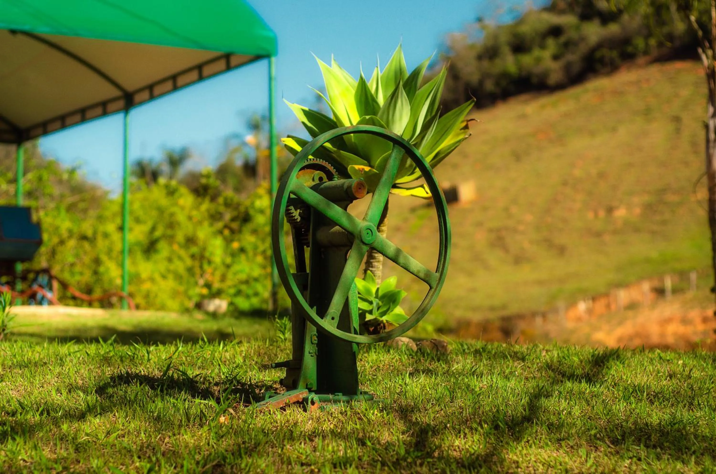 Decorative detail in ECO RESORT FASCINAÇÃO