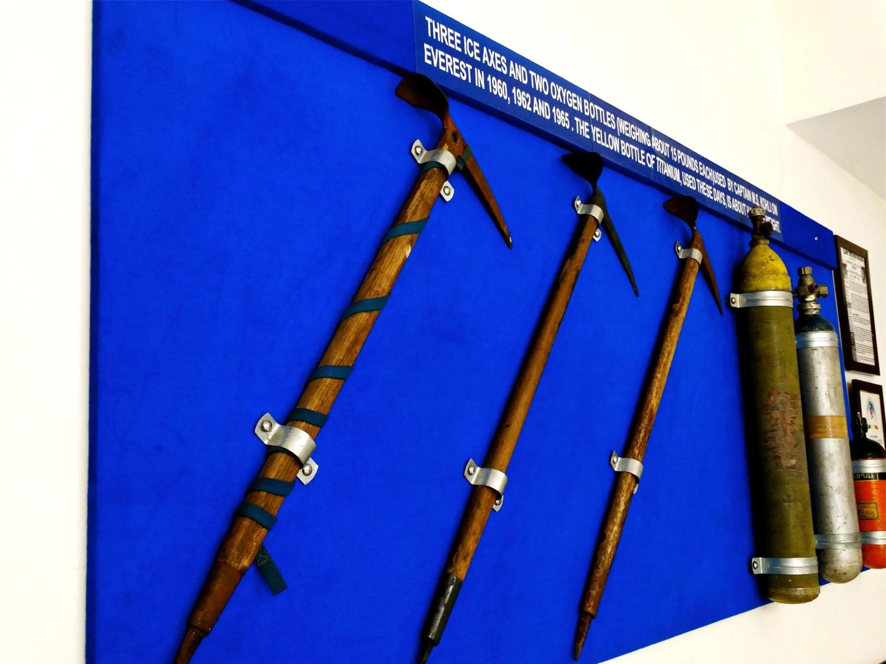 View (from property/room) in The Legend Inn Delhi