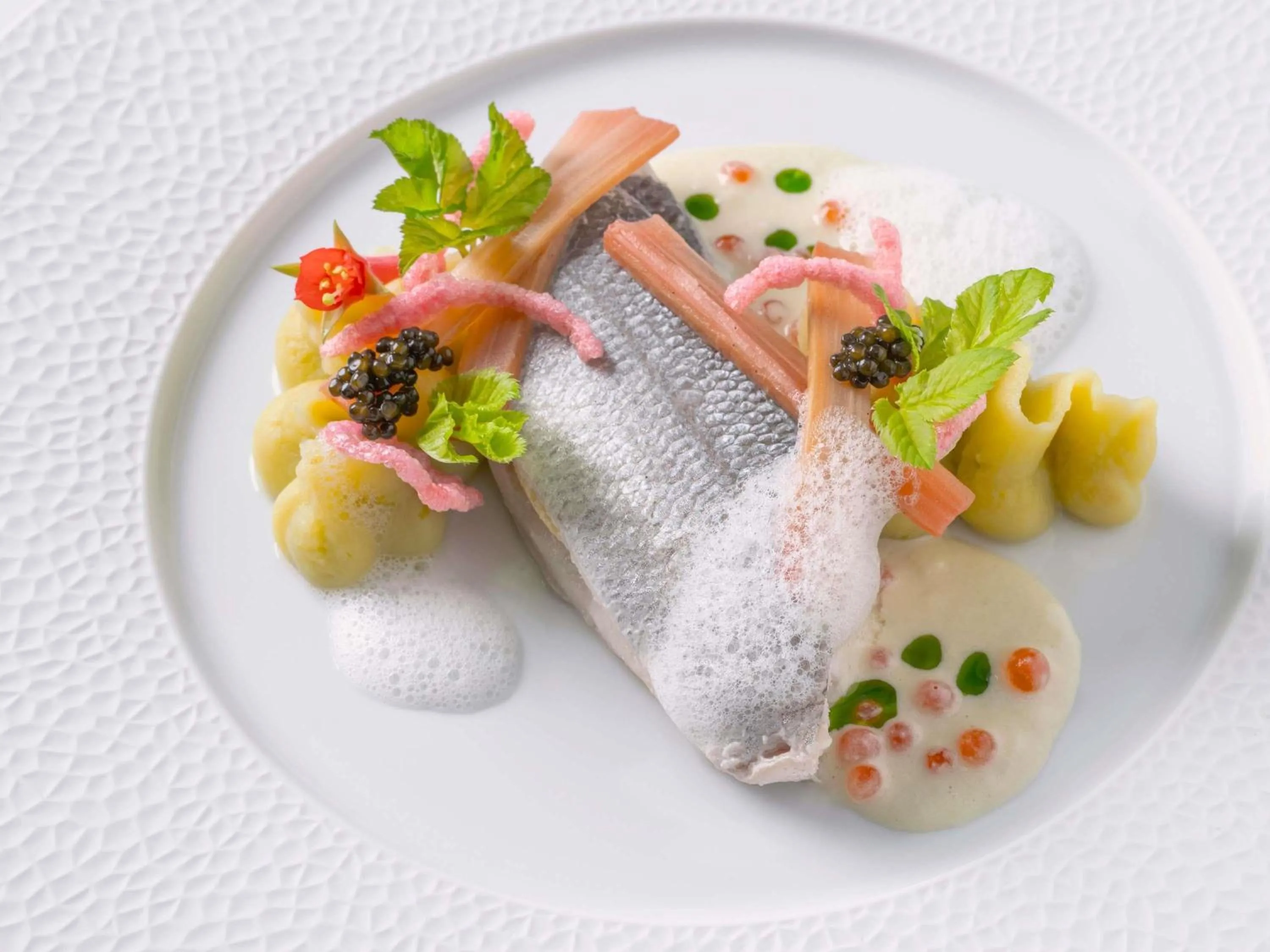 Restaurant/places to eat in Century Old Town Prague - MGallery Collection