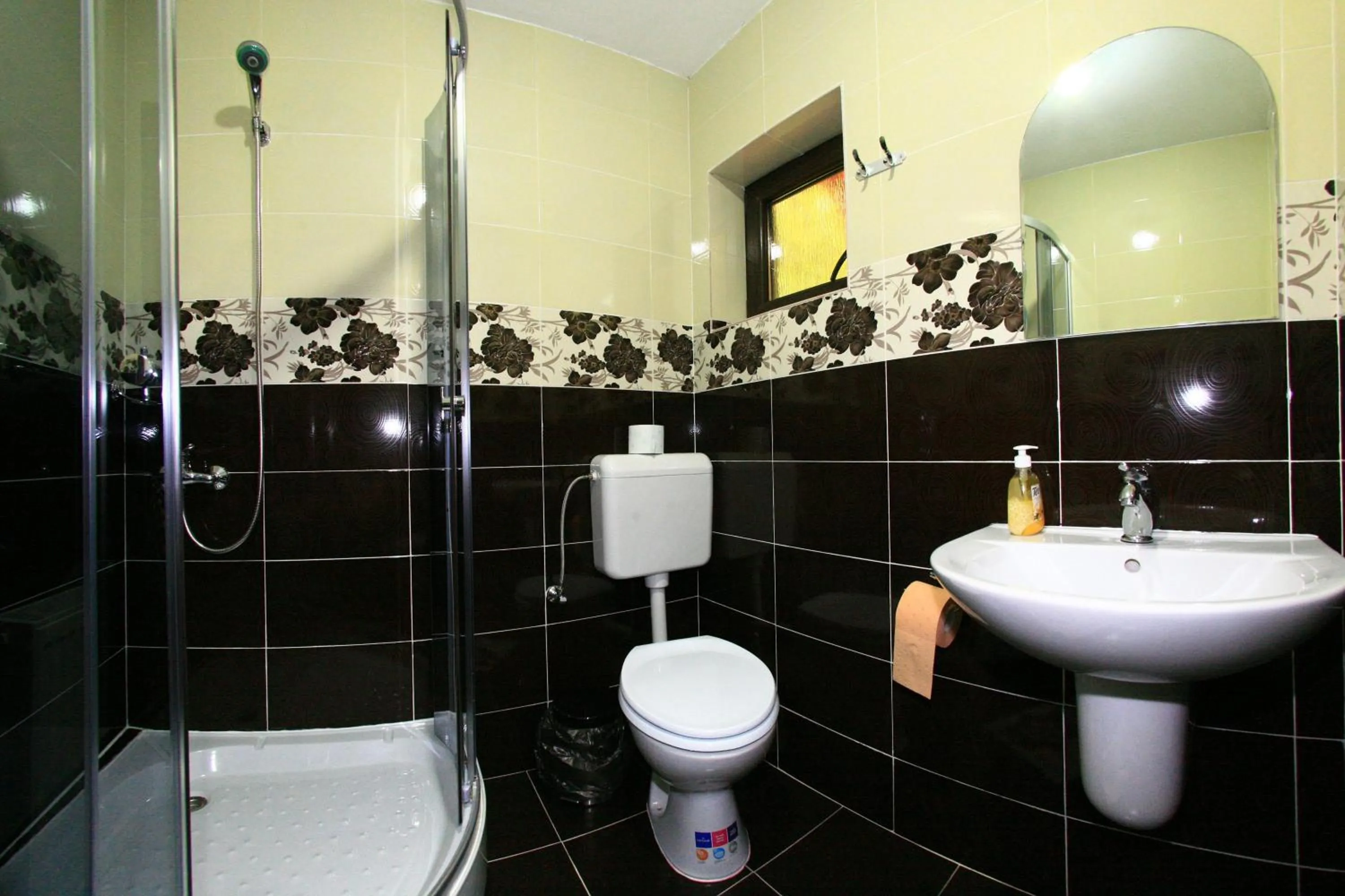 Double Room - single occupancy in Pensiunea Marinela