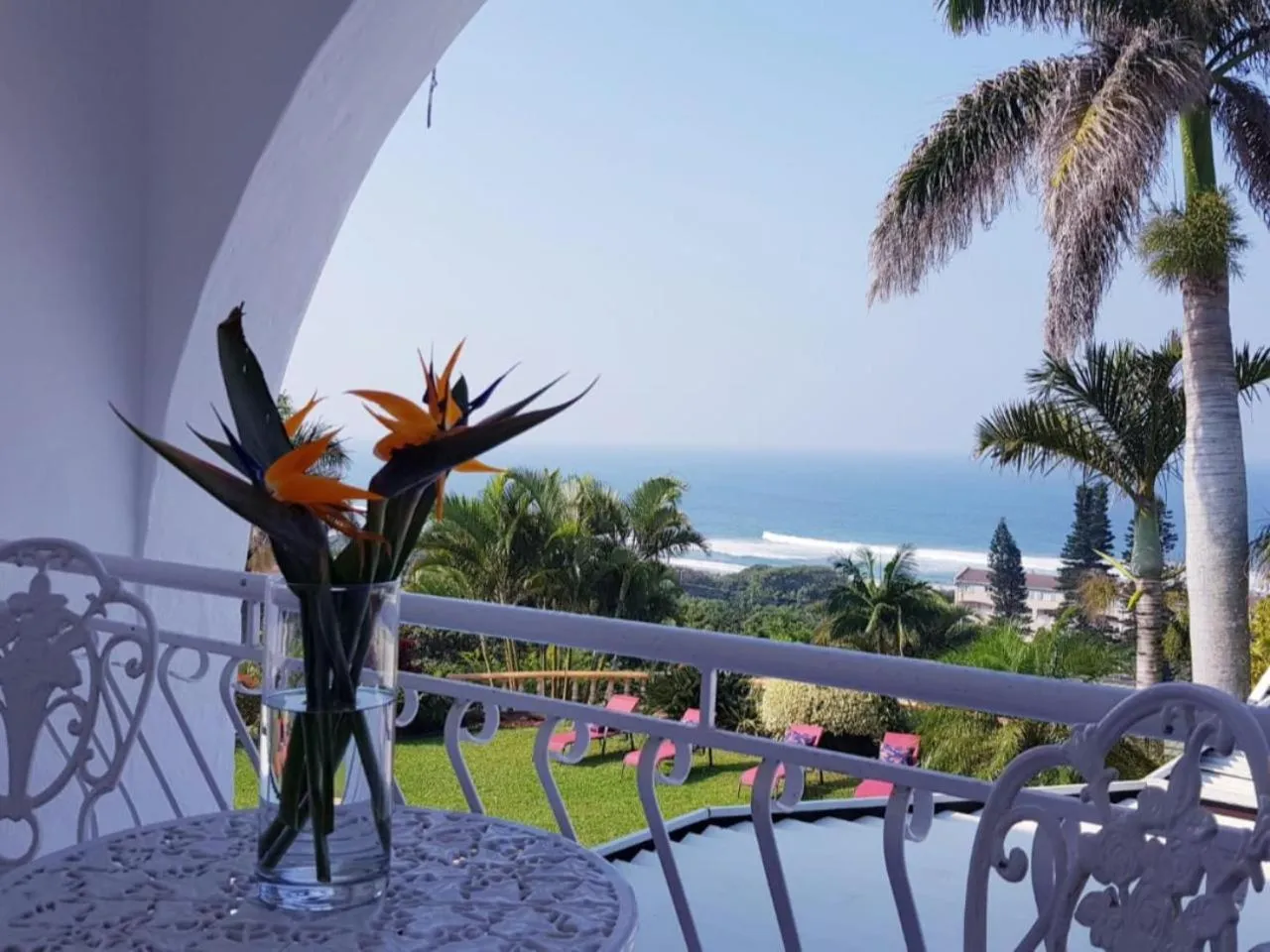 Sea view in ThE LaZy ShArK