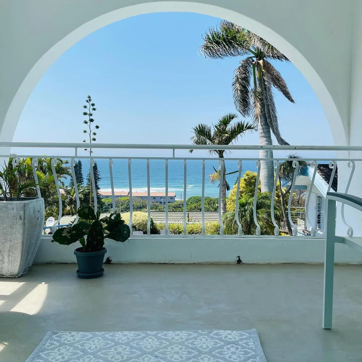 Property building in ThE LaZy ShArK