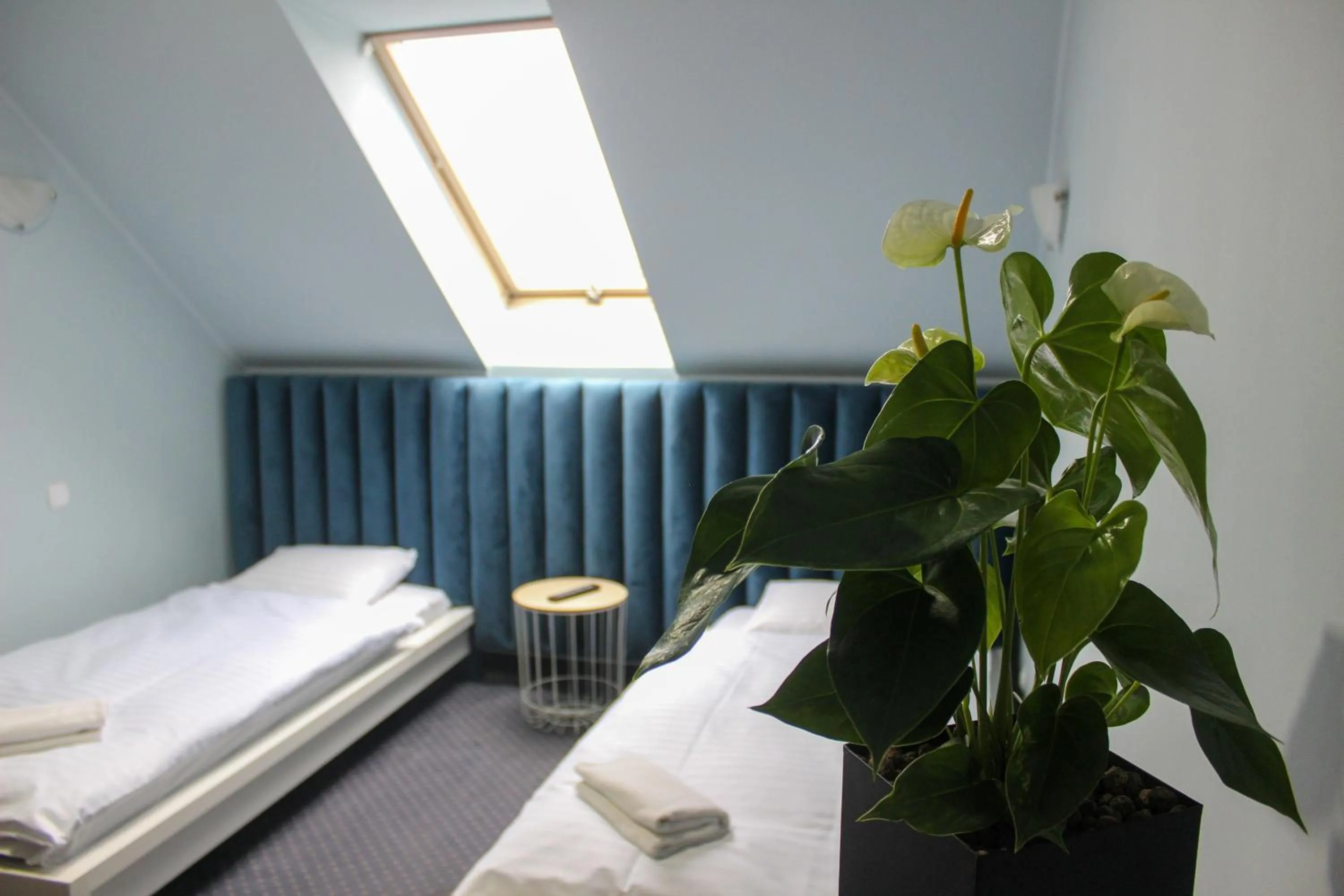 Bed in Stary Zajazd