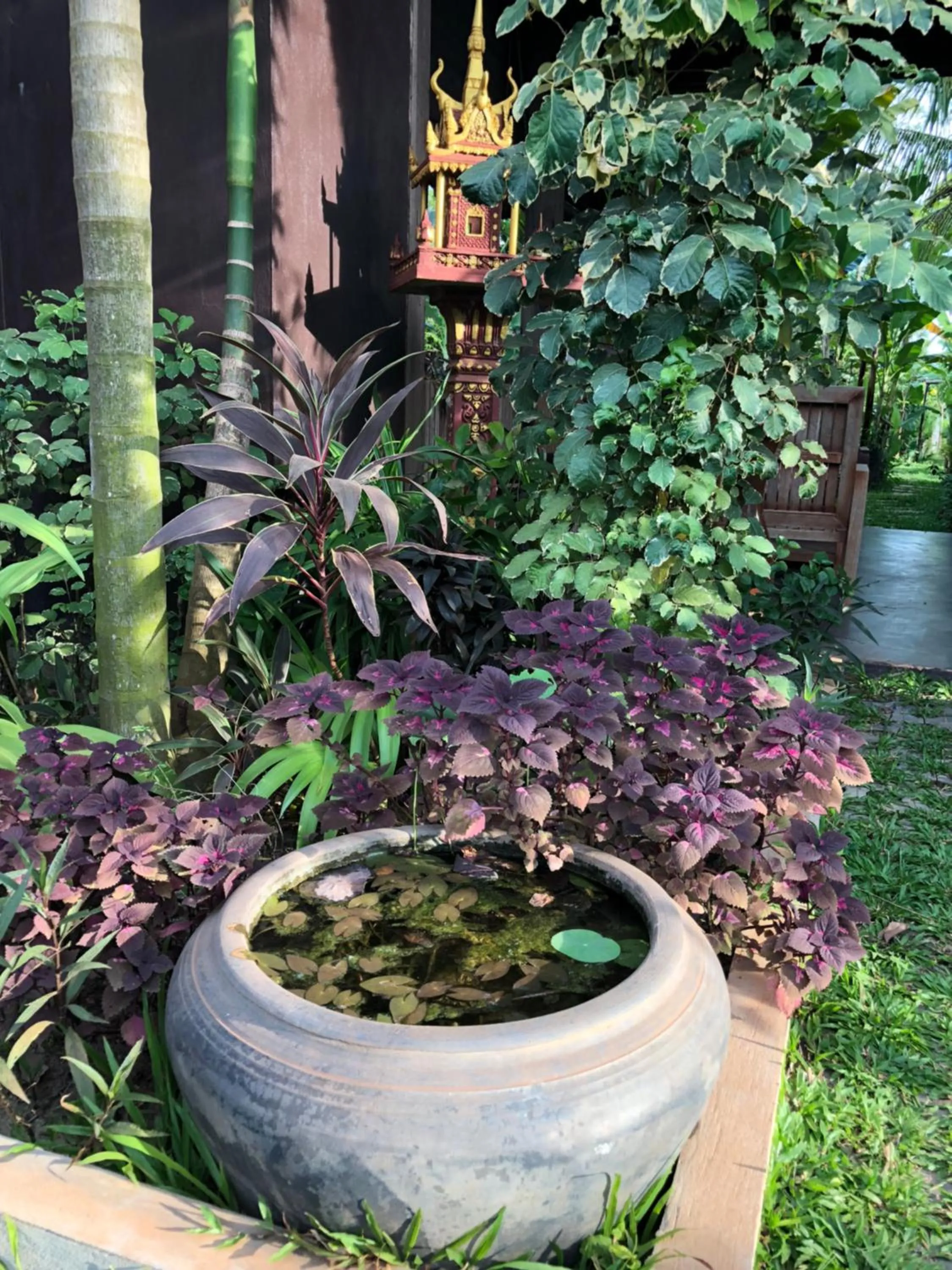 Garden in Angkor Rural Boutique Resort