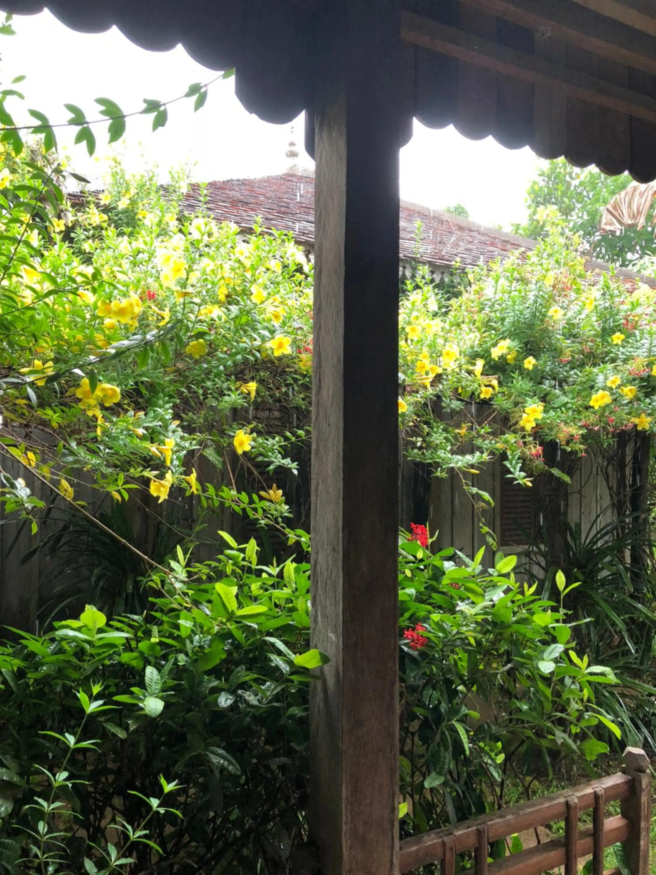 Angkor Rural Boutique Resort