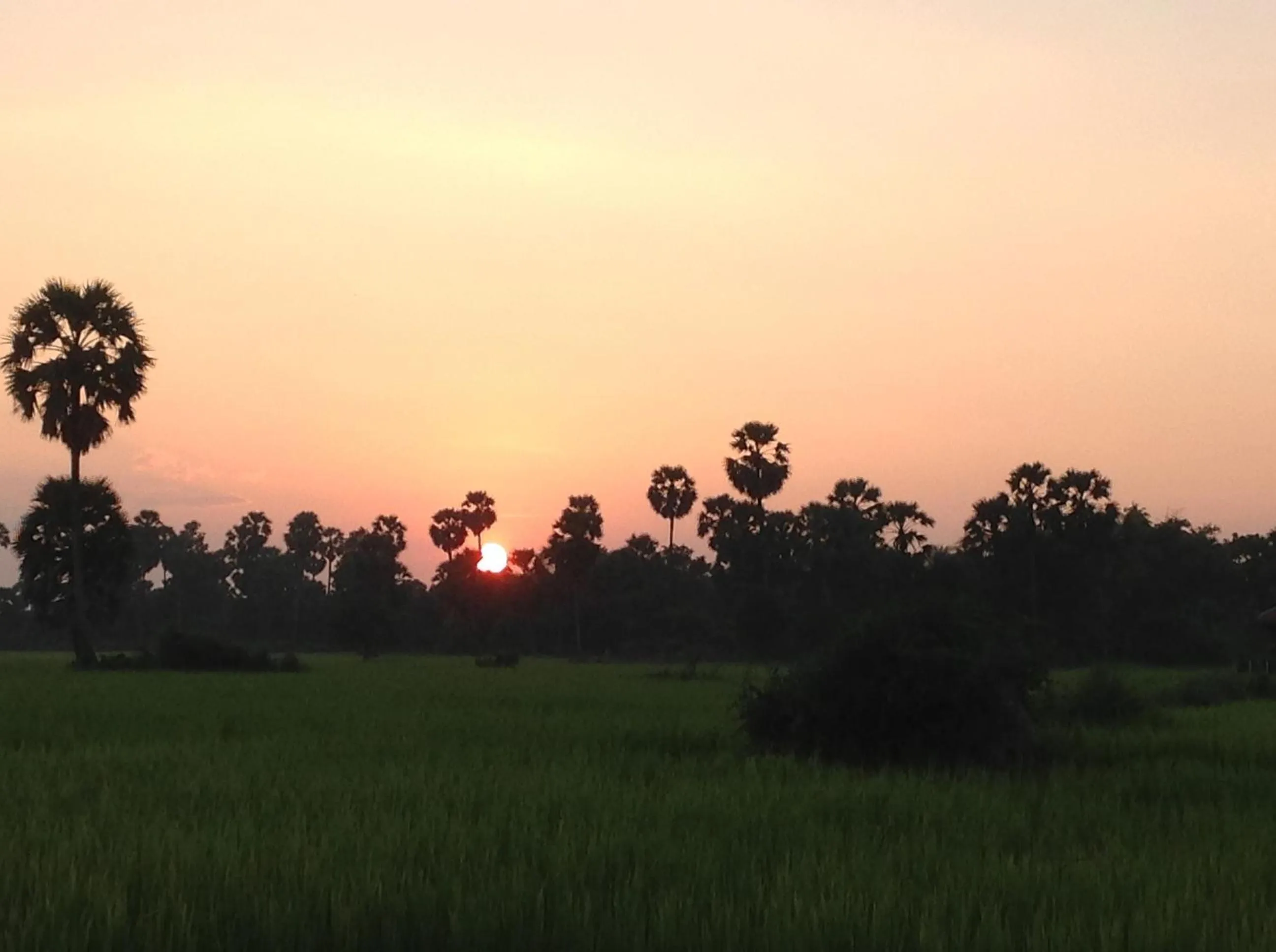 Natural landscape, Sunrise/Sunset in Angkor Rural Boutique Resort