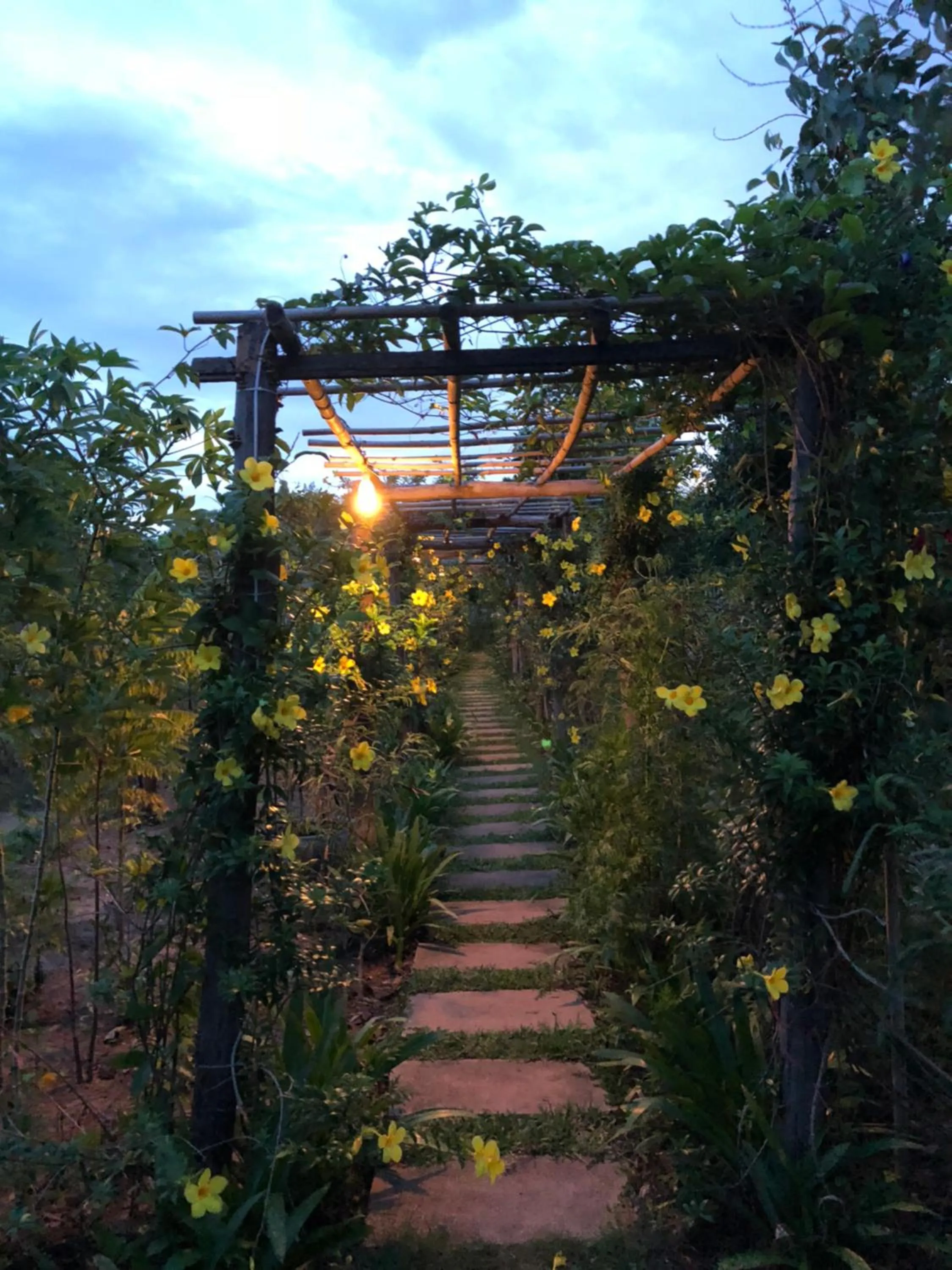 Garden in Angkor Rural Boutique Resort