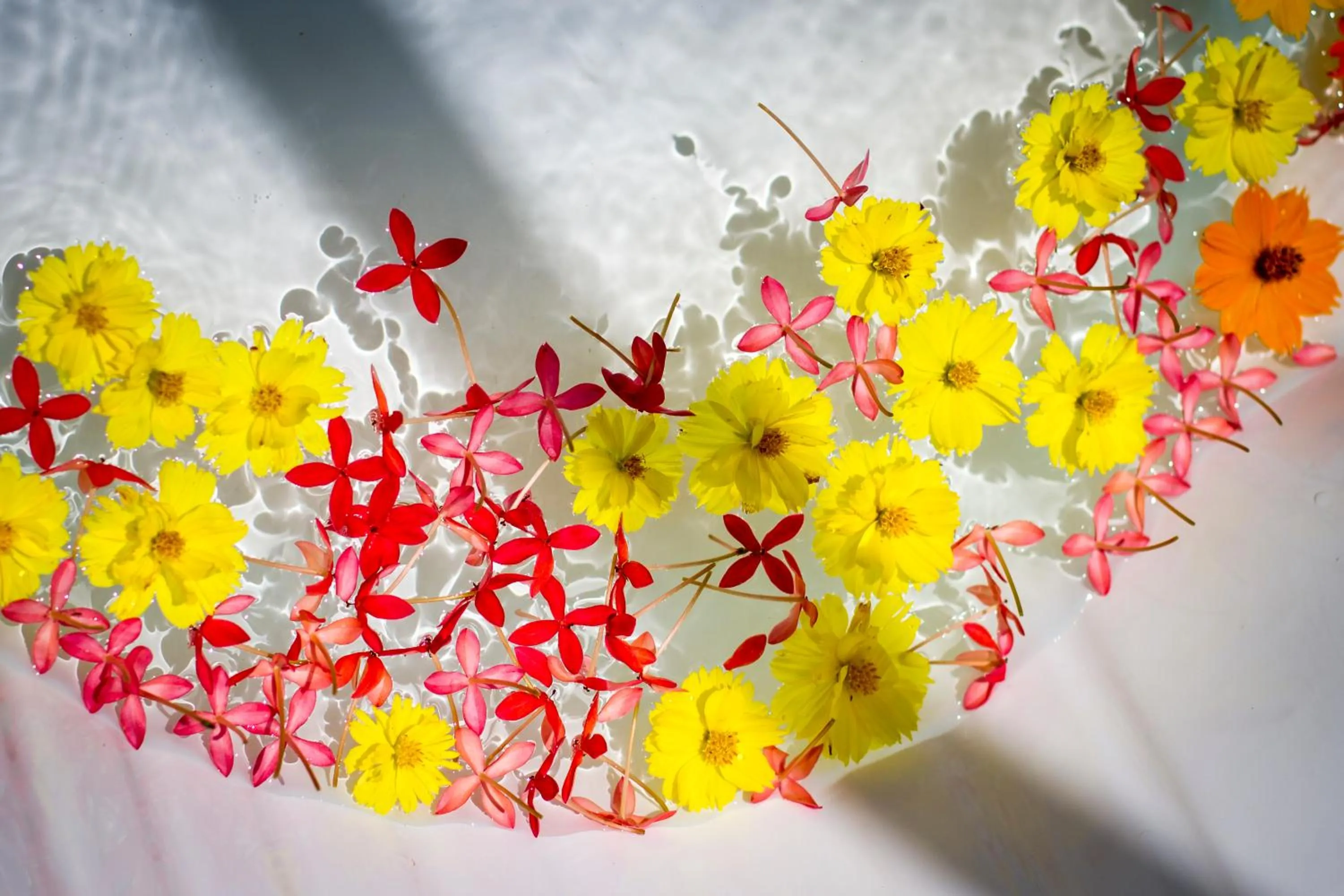 Balcony/Terrace in Angkor Rural Boutique Resort