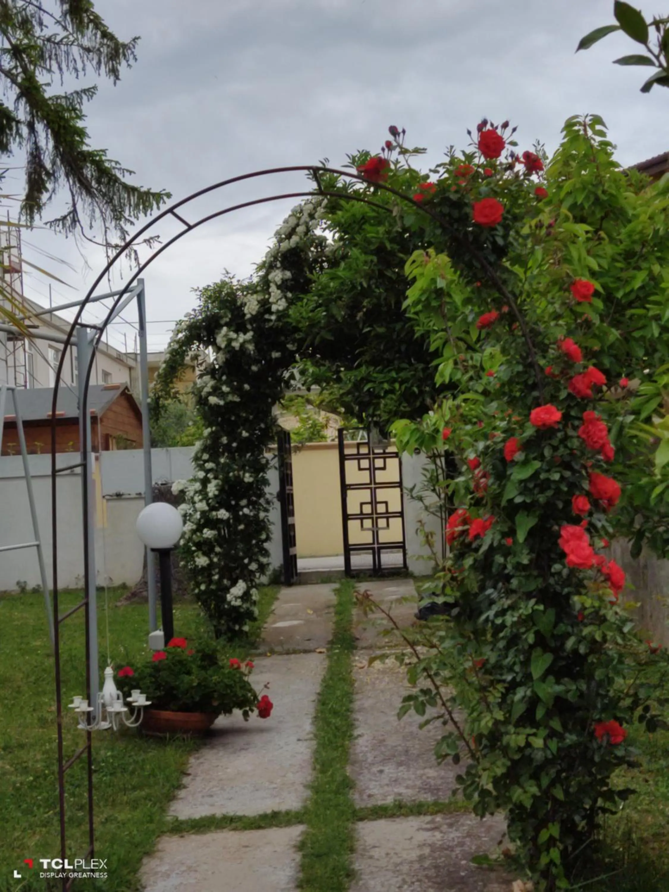 Facade/entrance in Villa Carol Appartamento e B&B