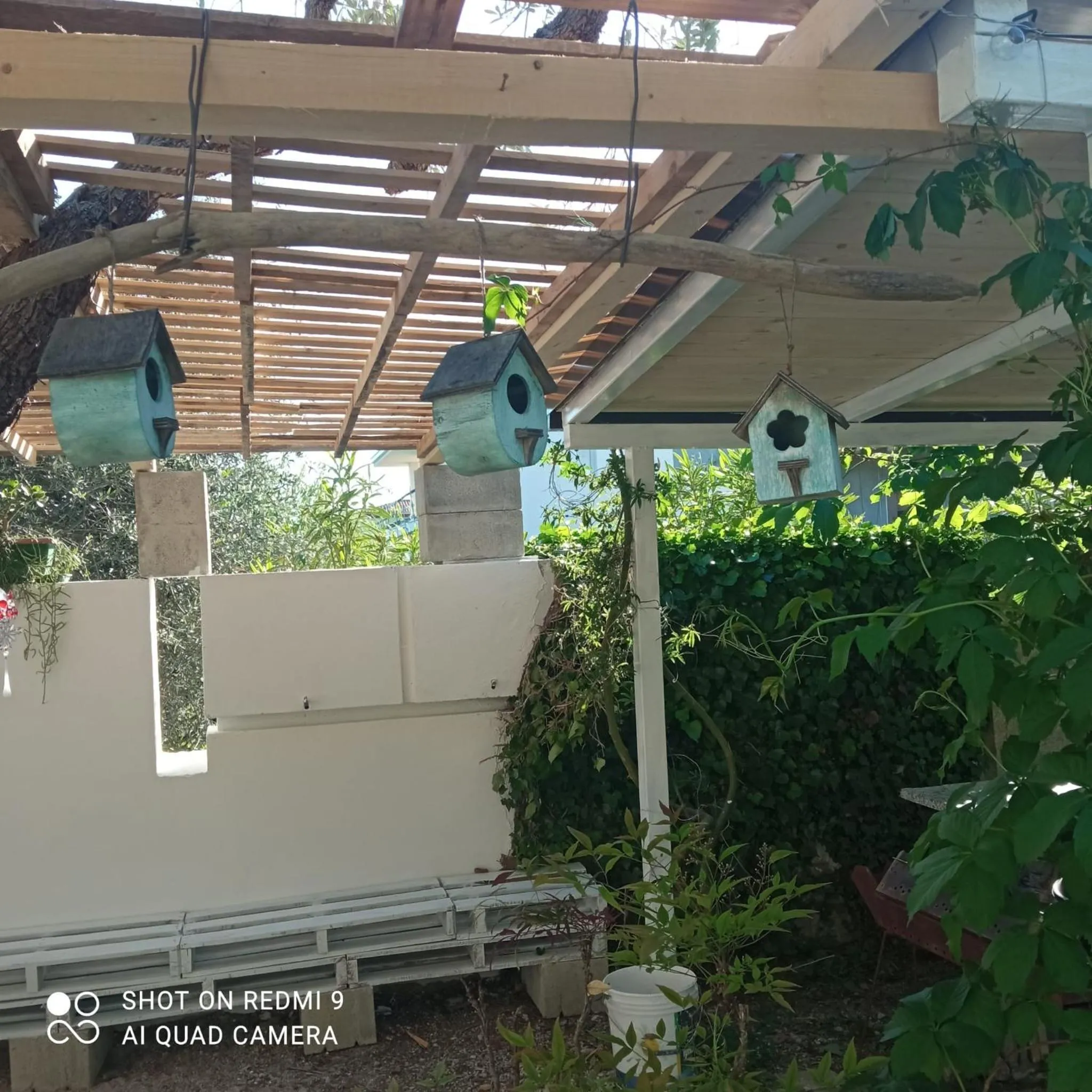 Garden in Villa Carol Appartamento e B&B