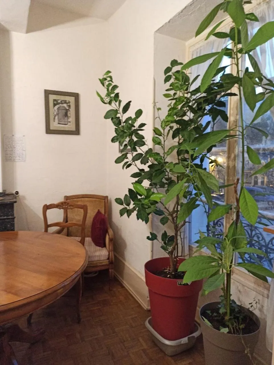 Dining area in Chateau View Chambres d'hôtes