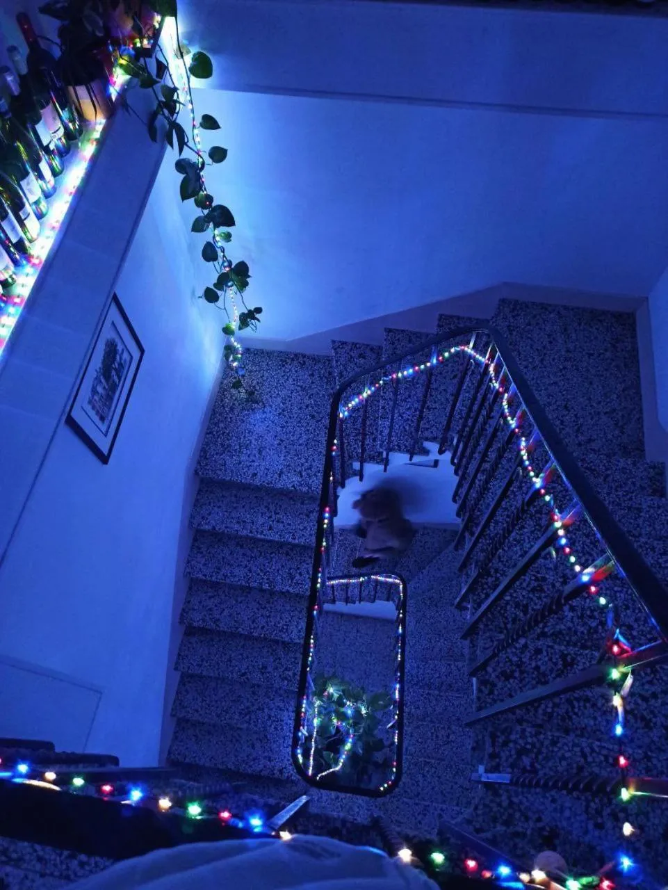 Property building in Chateau View Chambres d'hôtes